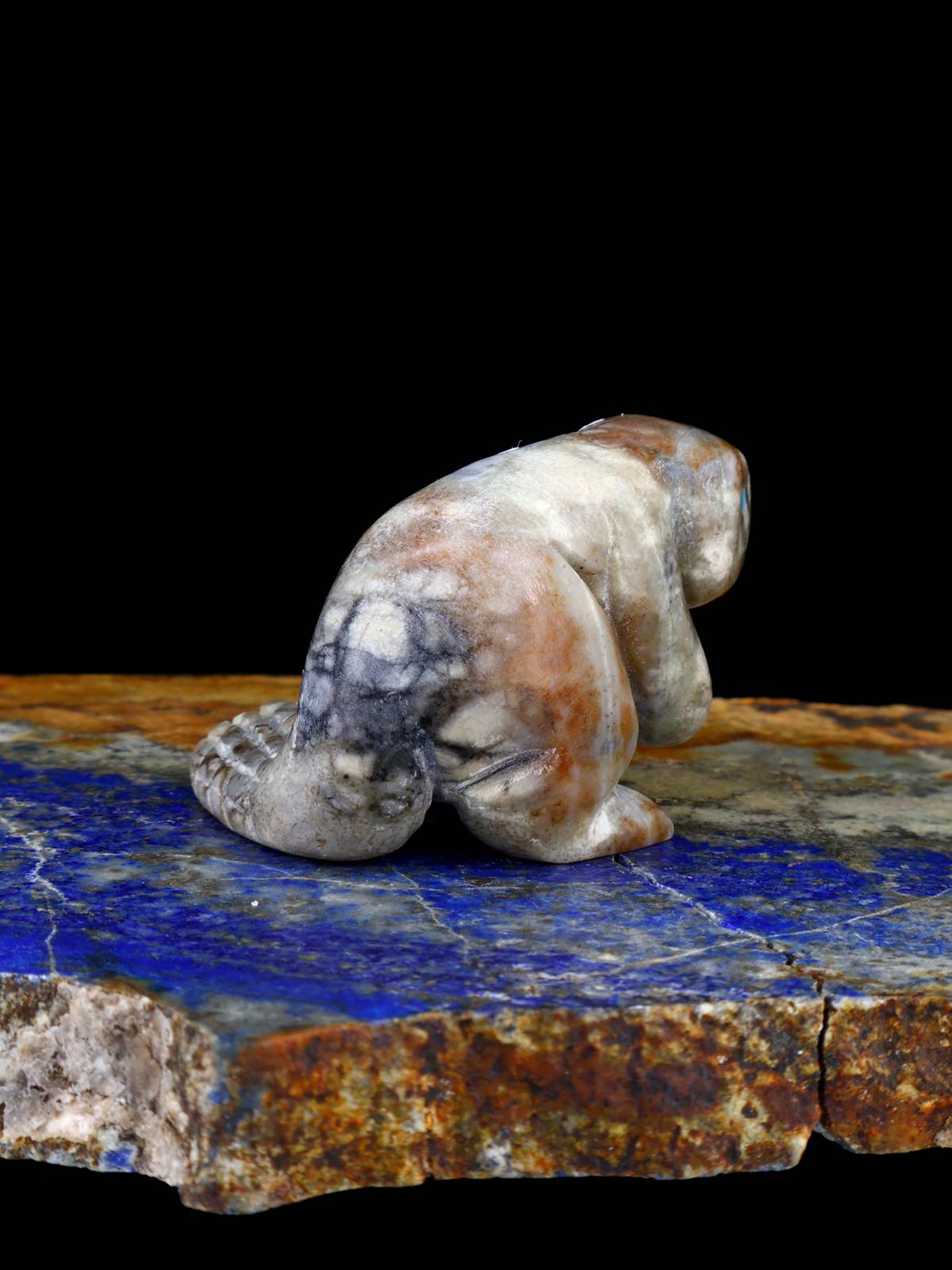 Castor Serpentino Fetiche Zuni