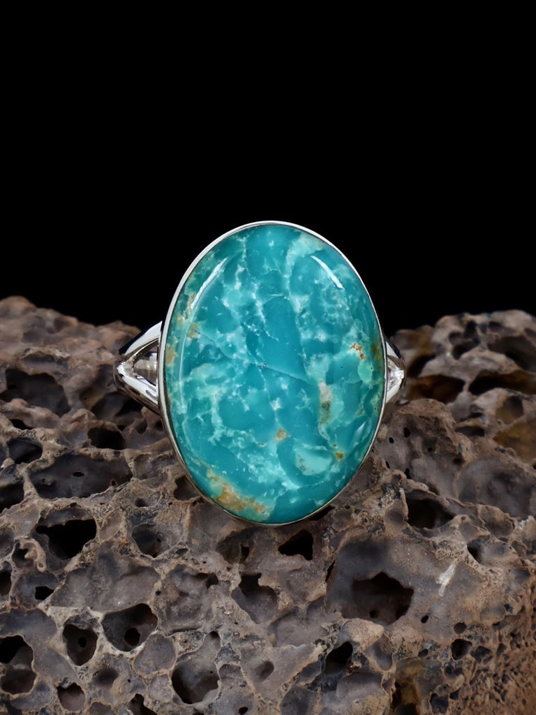 Navajo Fox Turquoise Ring, Size 8 - PuebloDirect.com