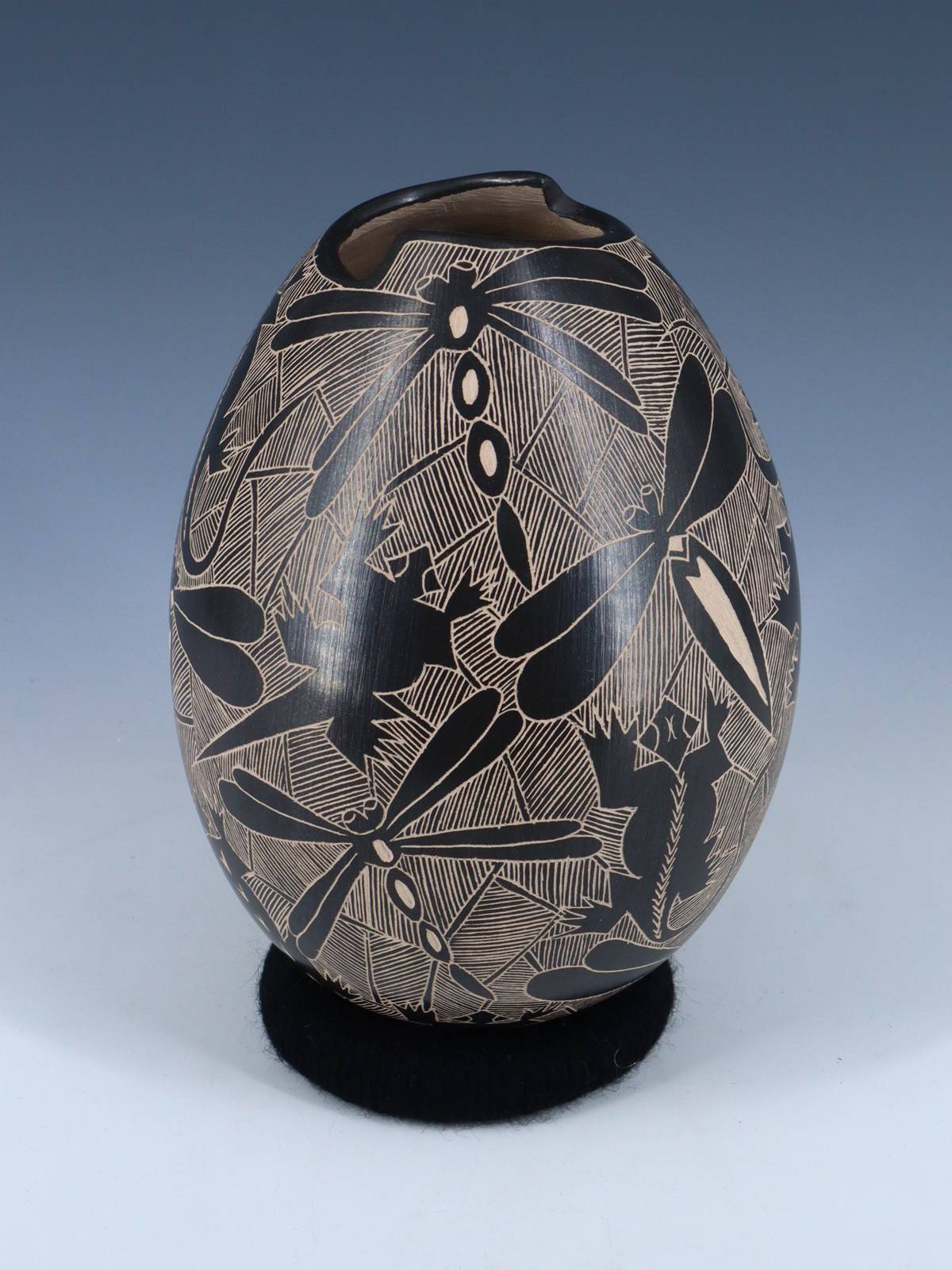 Hand Coiled Mata Ortiz Black Wildlife Pottery - PuebloDirect.com