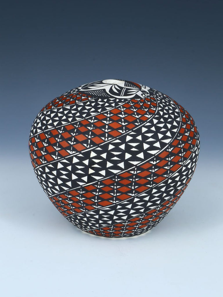 Acoma Pueblo Eye Dazzler Pottery Vase - PuebloDirect.com