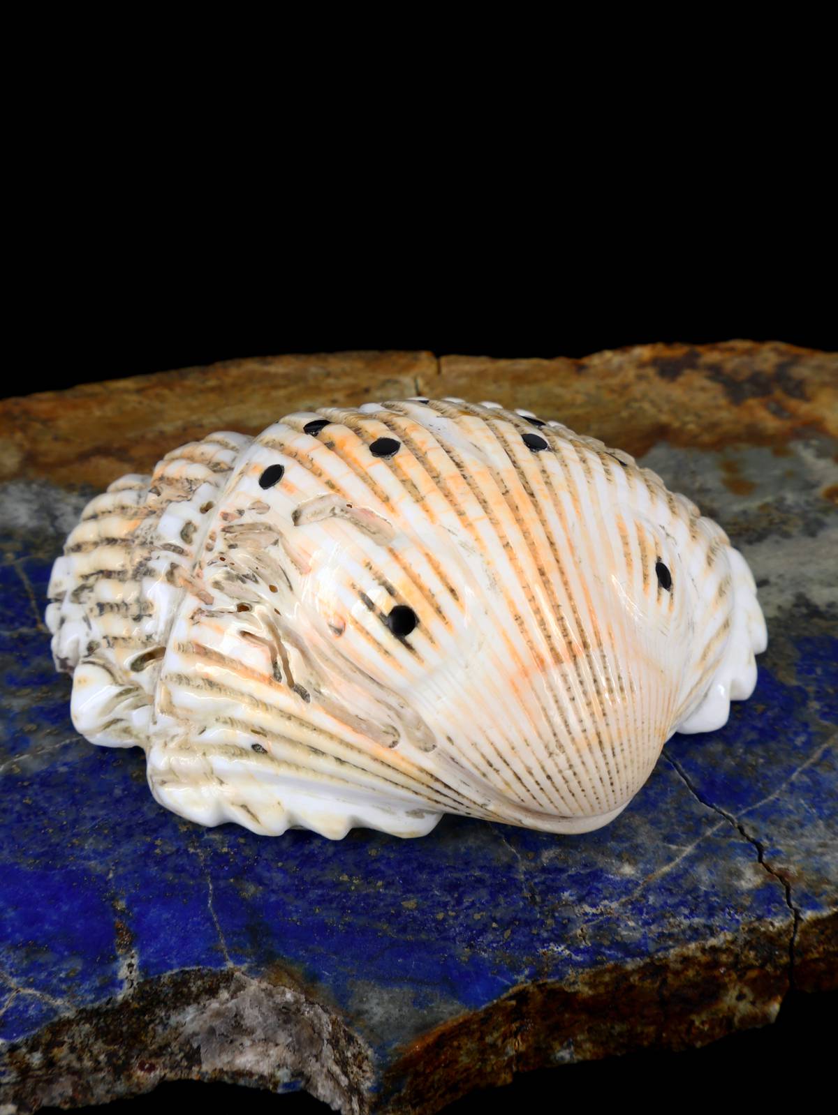 Shell Frog Navajo Carving - PuebloDirect.com