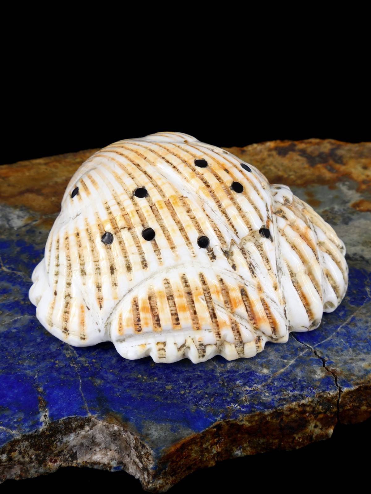 Shell Frog Navajo Carving - PuebloDirect.com