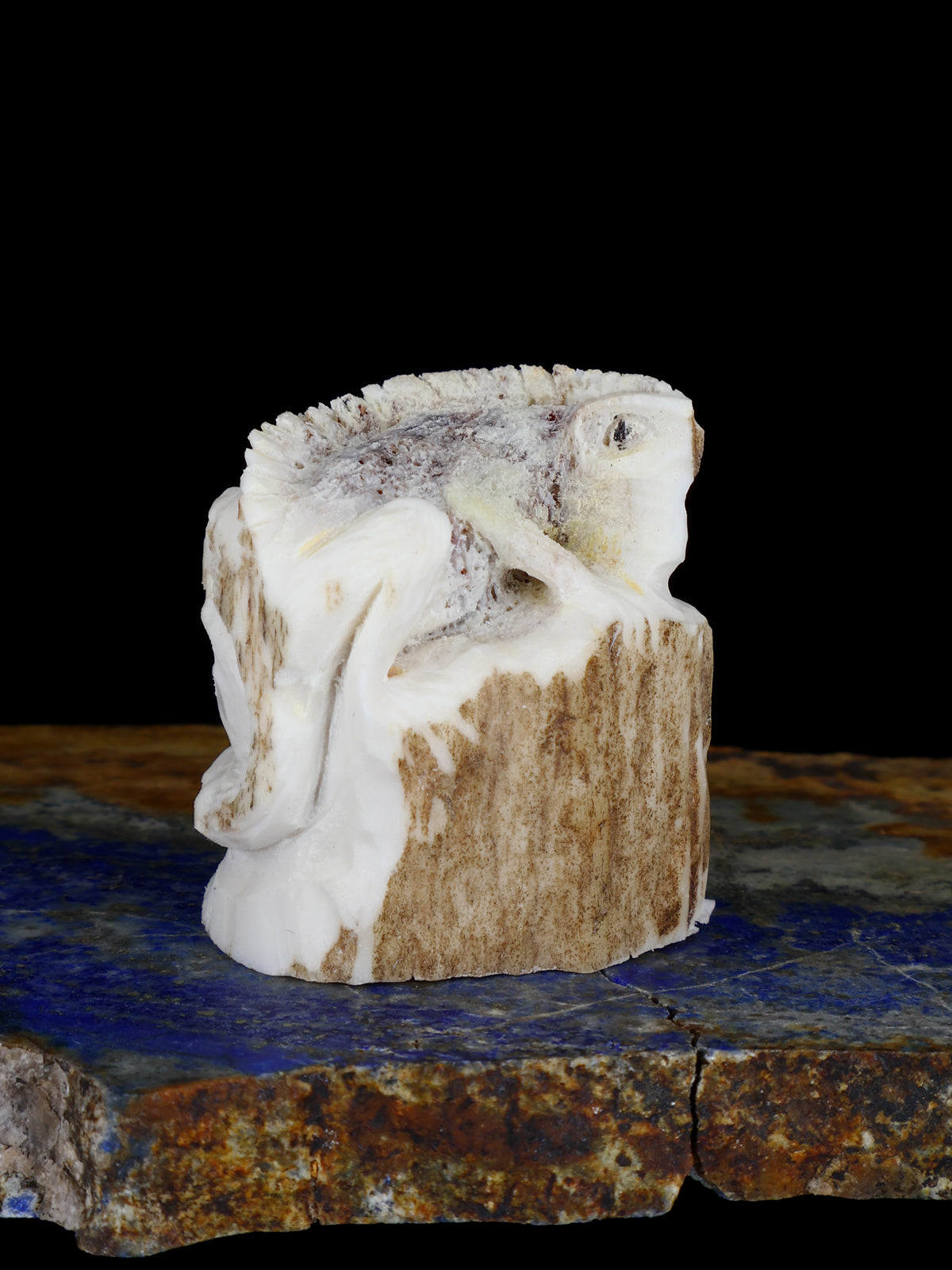 Antler Lizard Zuni Fetish - PuebloDirect.com