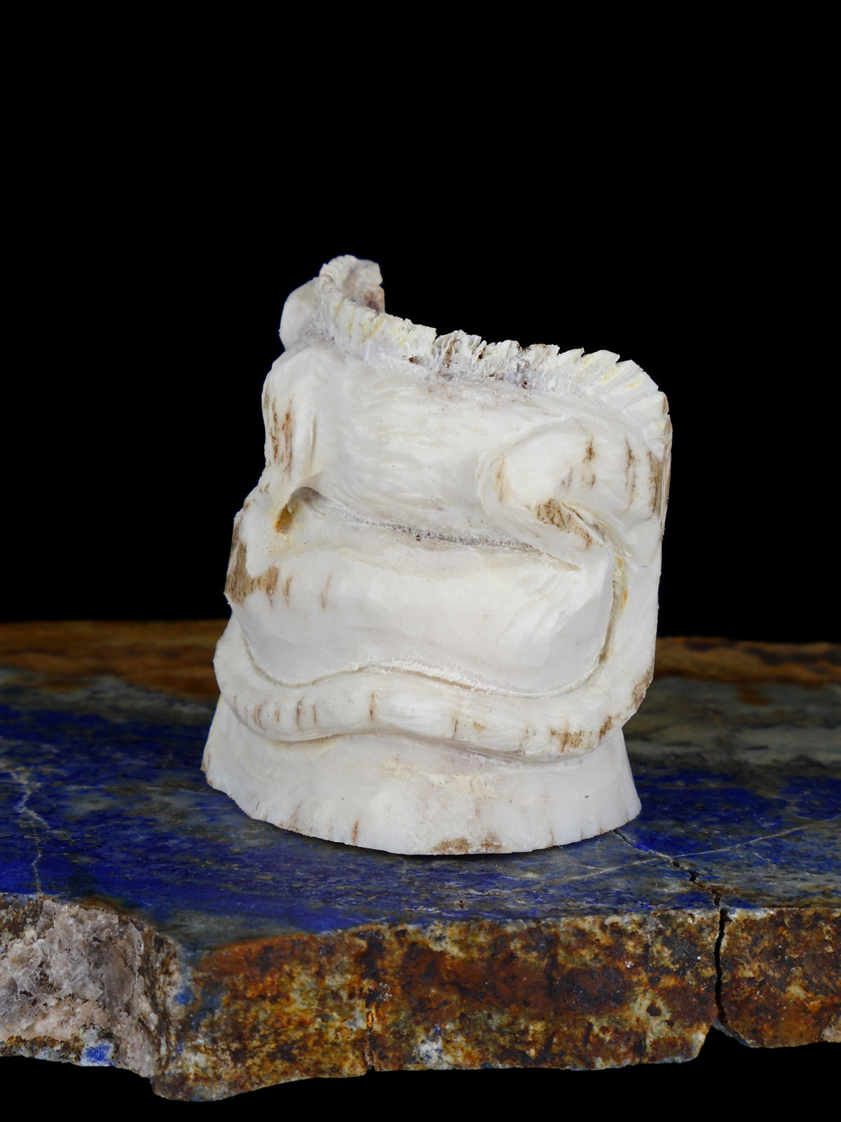 Antler Lizard Zuni Fetish - PuebloDirect.com