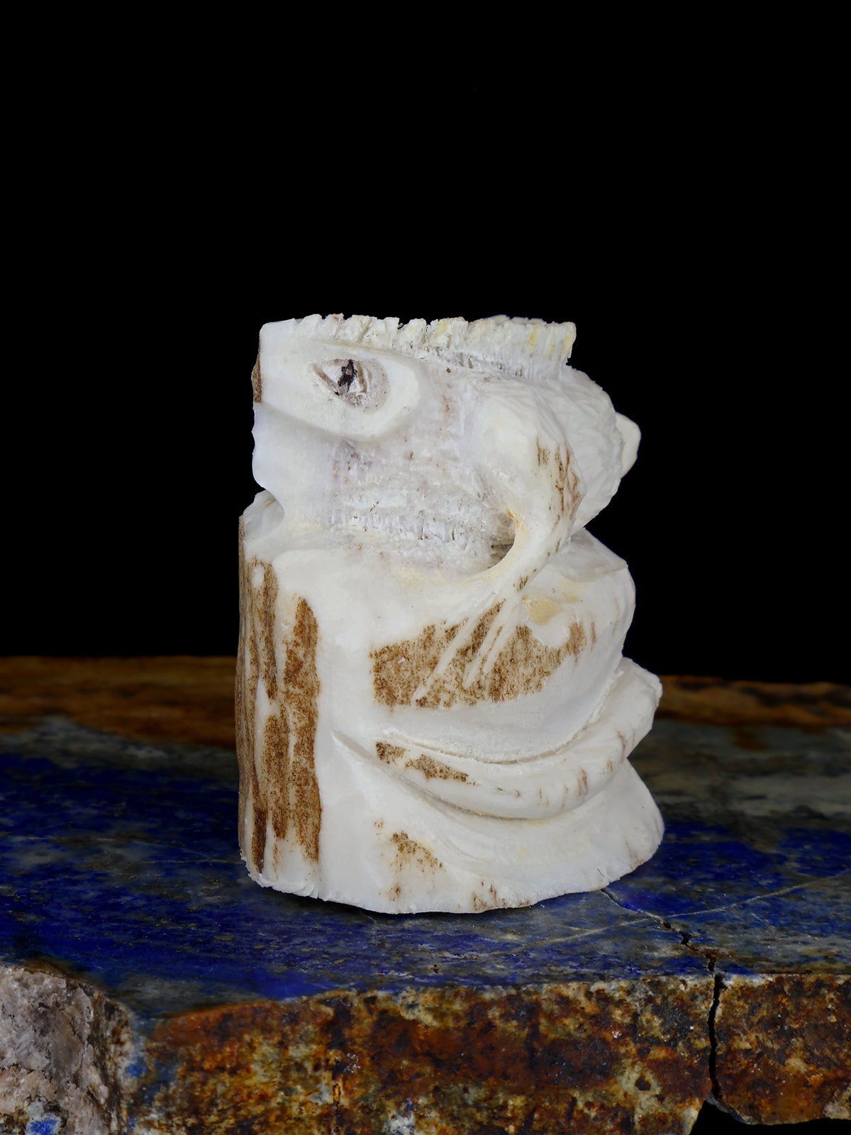 Antler Lizard Zuni Fetish - PuebloDirect.com