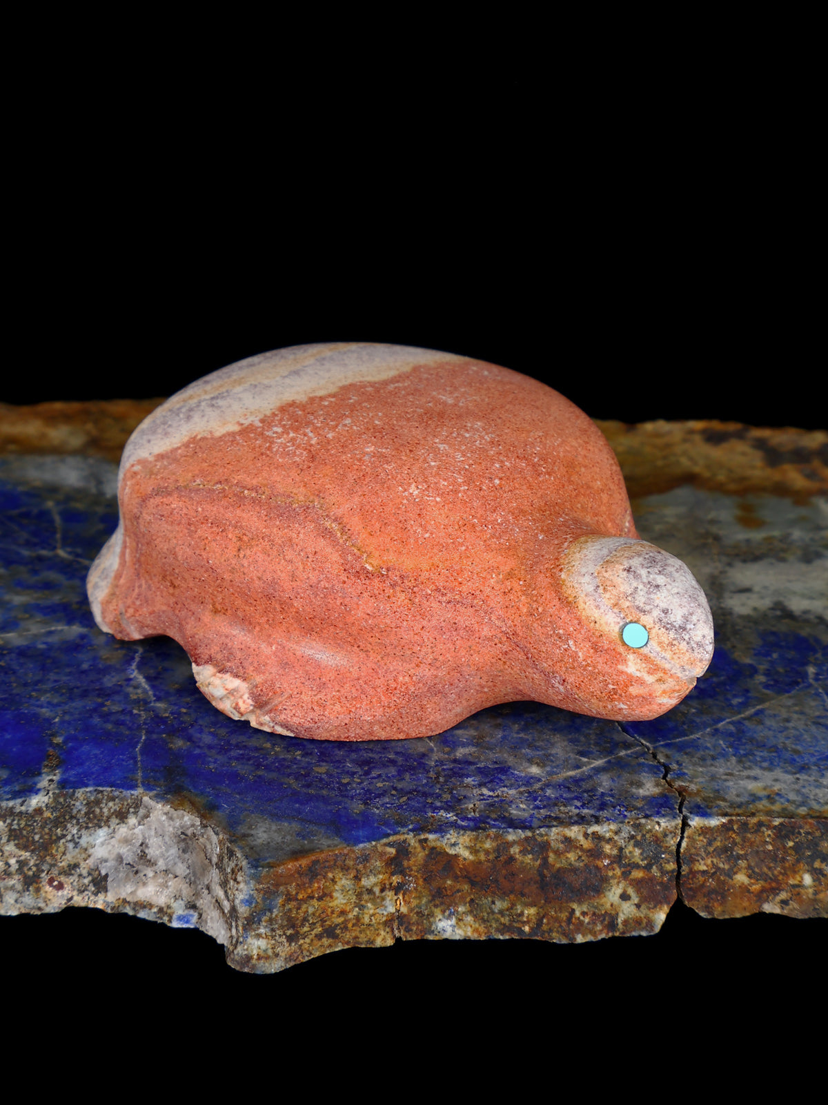 Dolomite Turtle Zuni Fetish - PuebloDirect.com