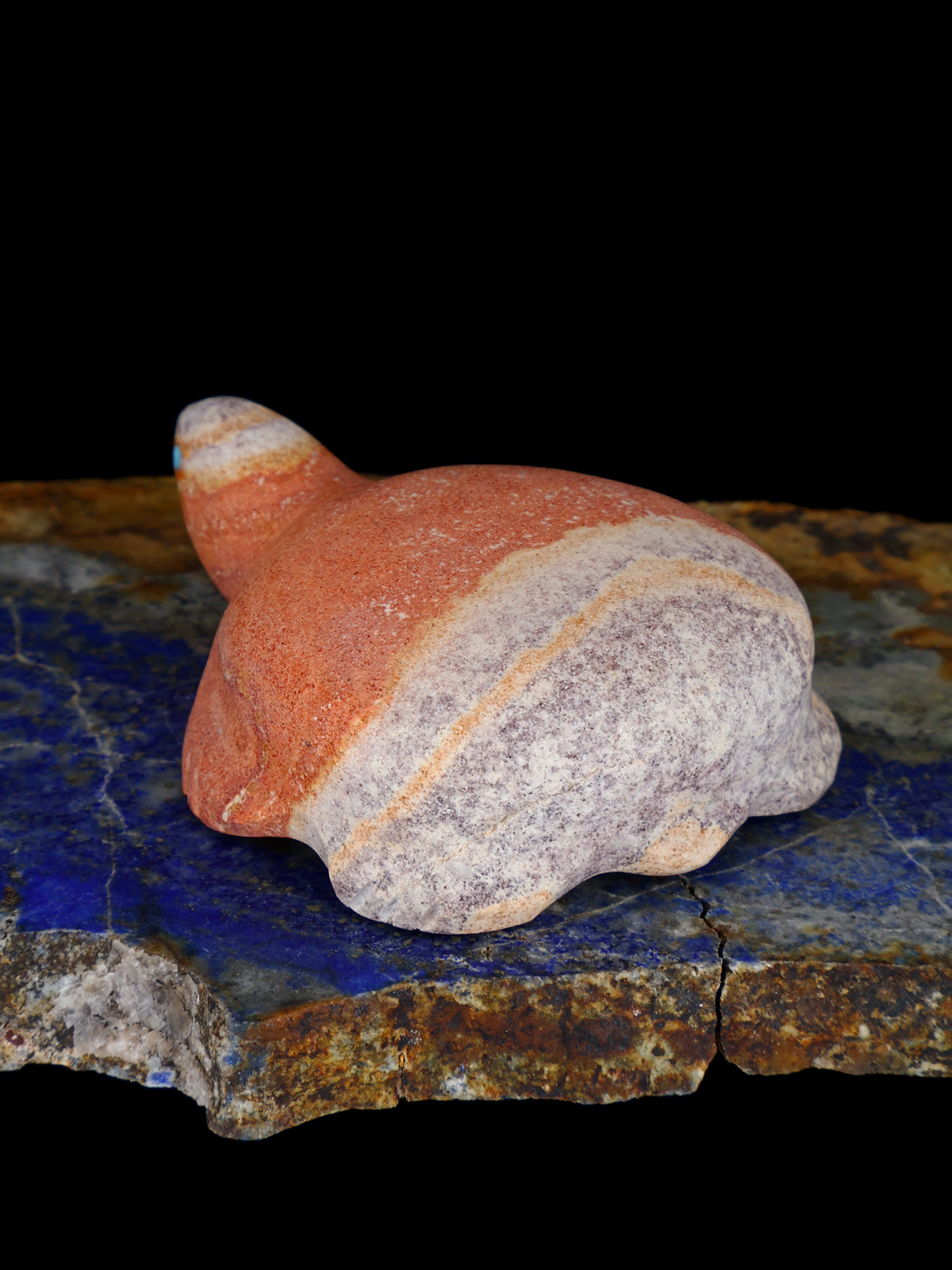 Dolomite Turtle Zuni Fetish - PuebloDirect.com