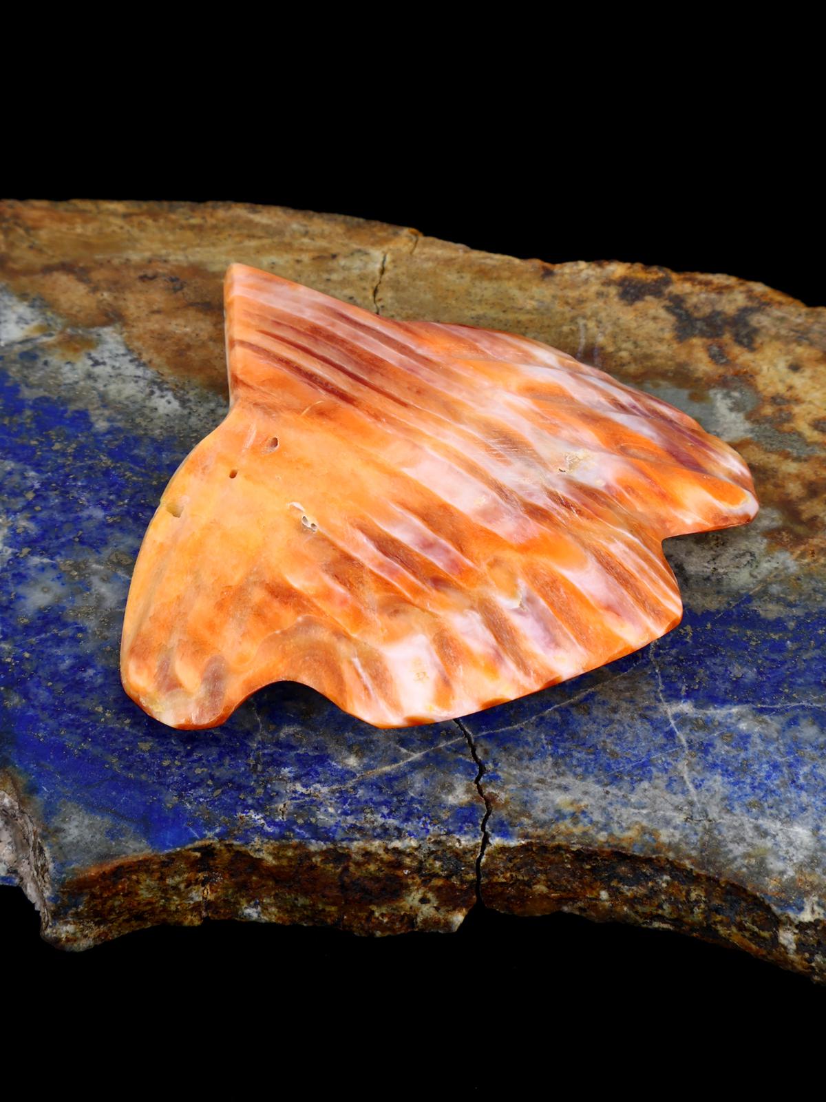 Spiny Oyster Bird Zuni Fetish