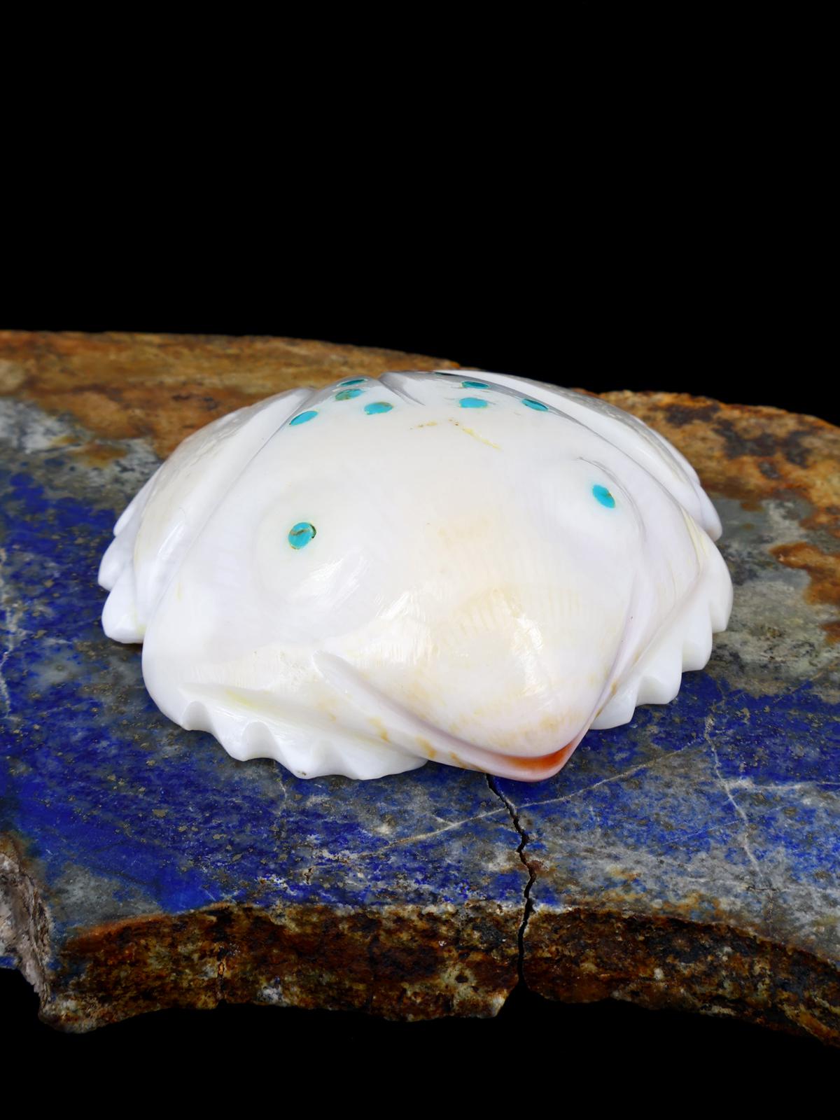 Shell Frog Navajo Carving - PuebloDirect.com