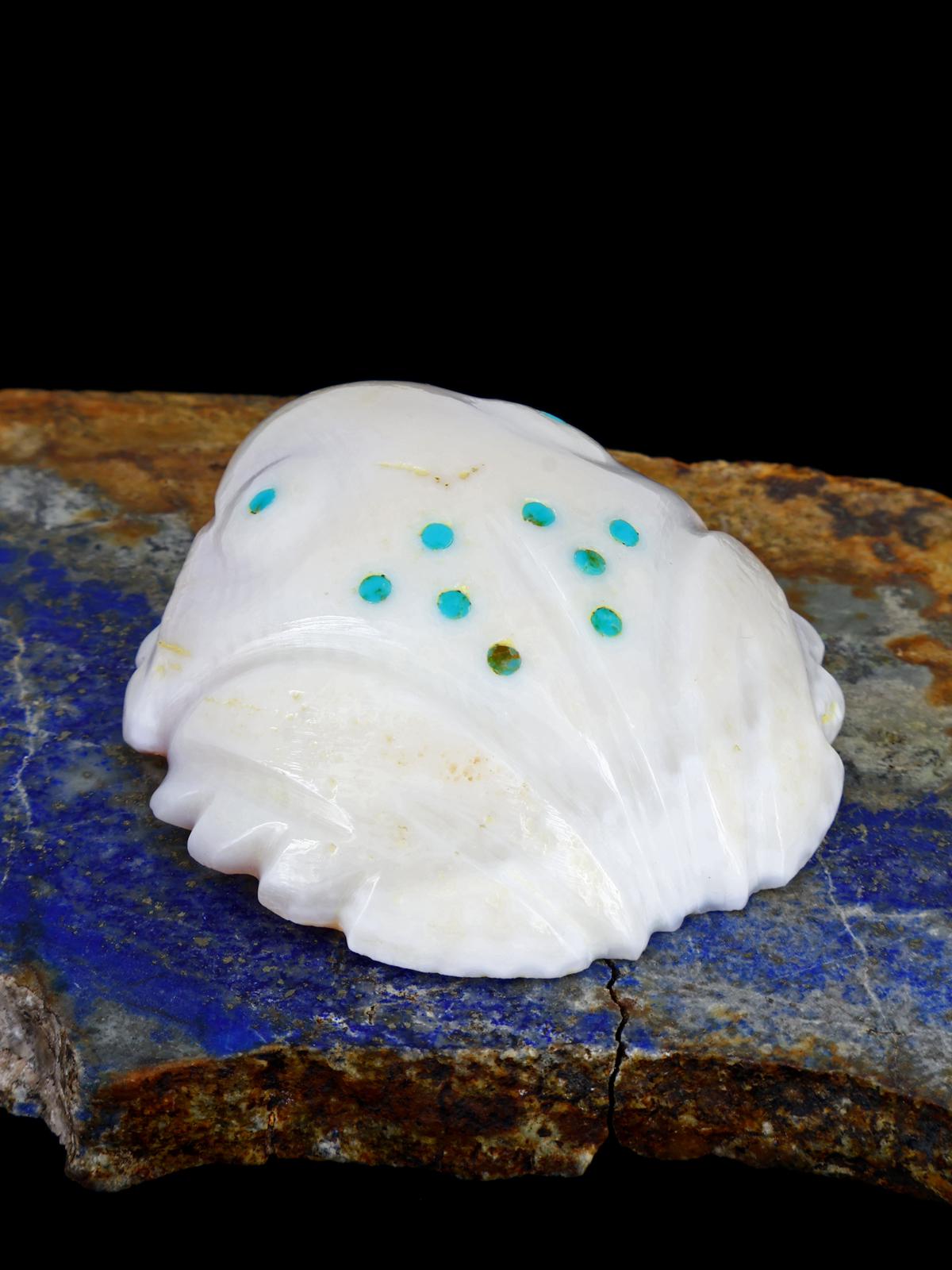 Shell Frog Navajo Carving - PuebloDirect.com