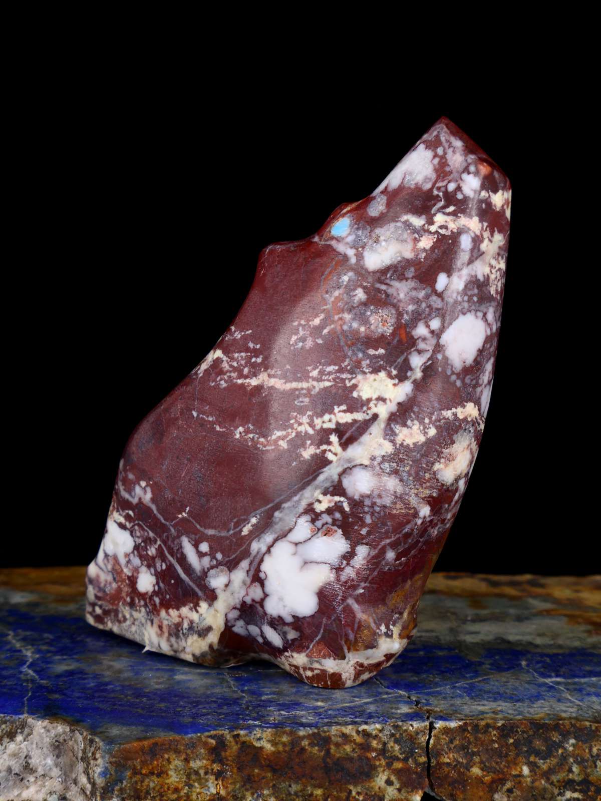 Wild Horse Coyote Zuni Fetish - PuebloDirect.com