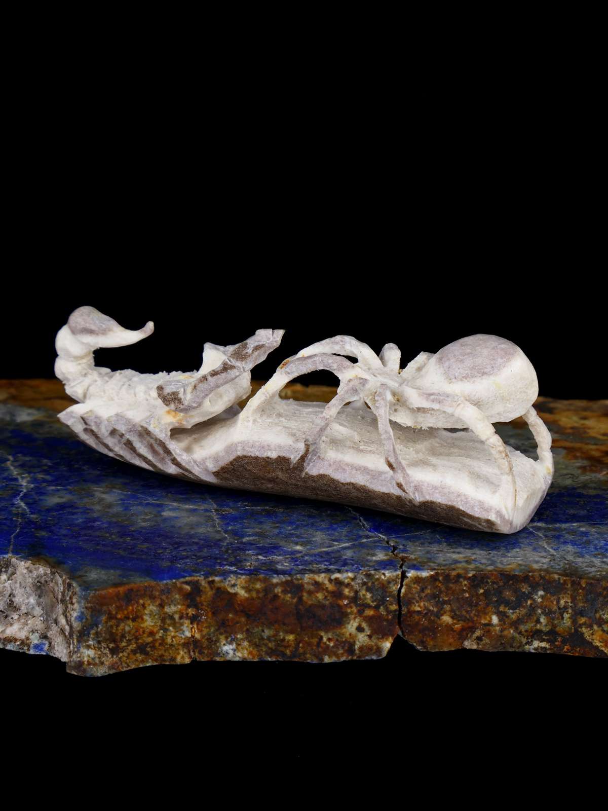 Fétiche de Zuni d'araignée de bois