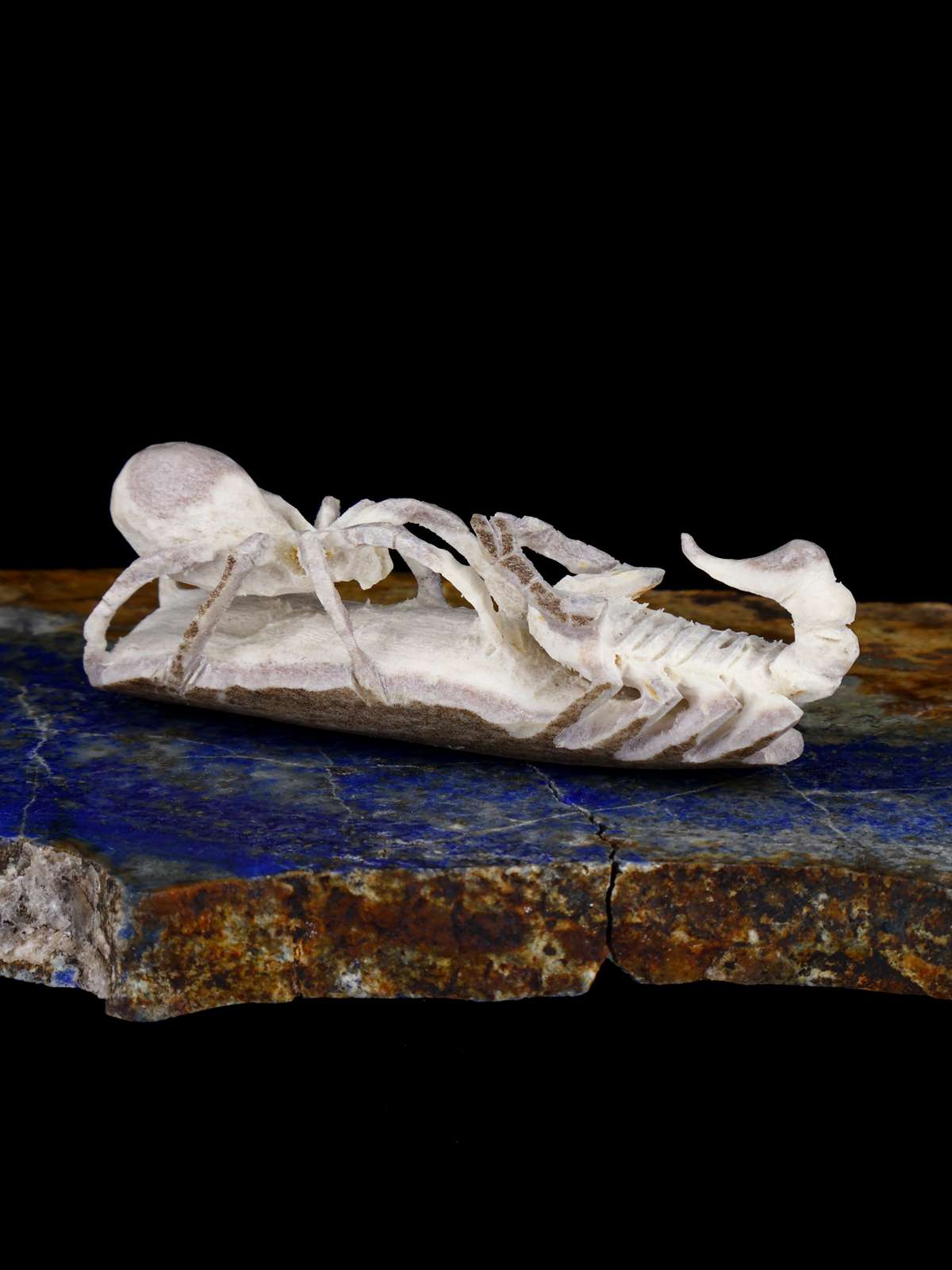 Fétiche de Zuni d'araignée de bois