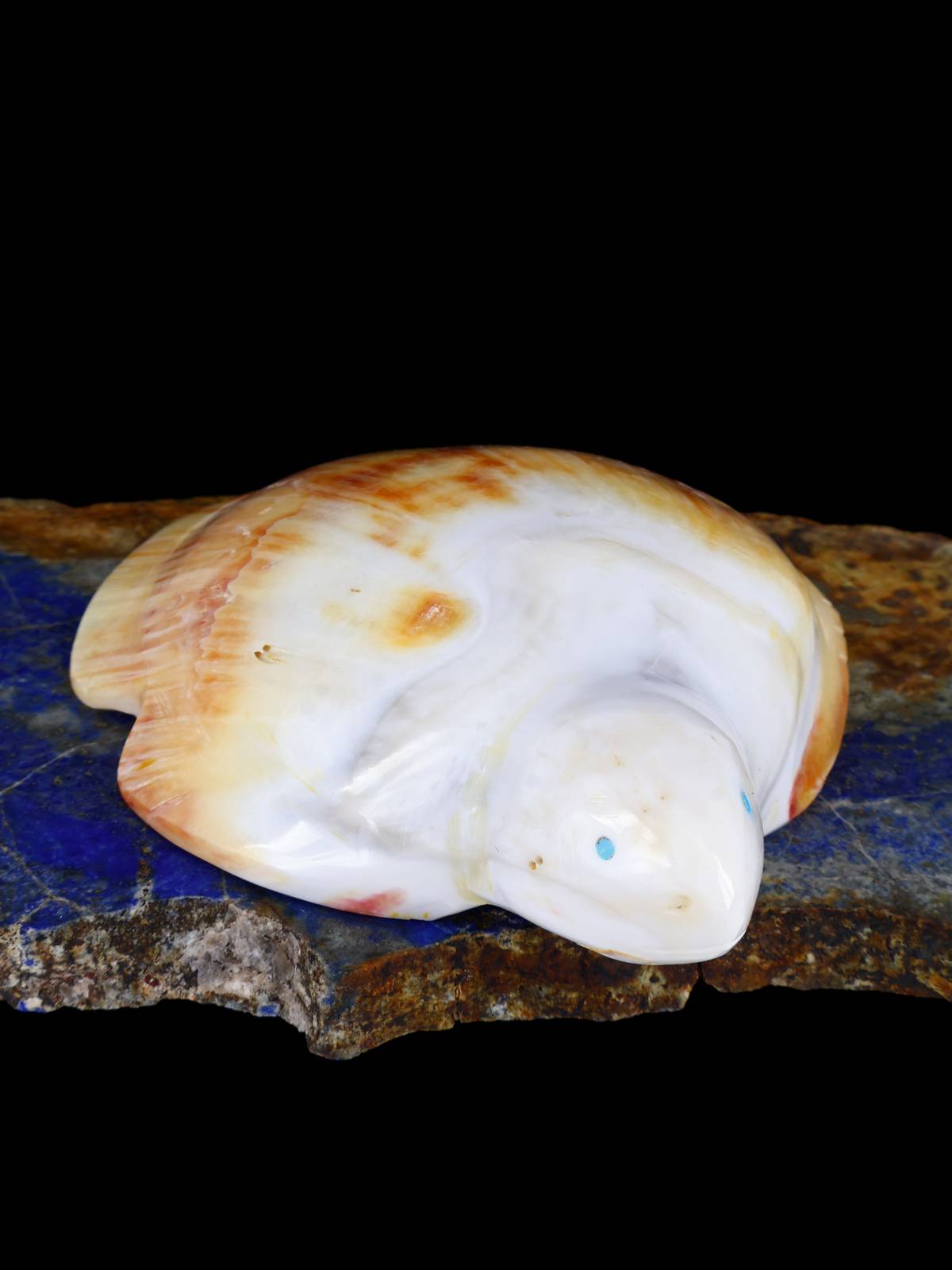 Shell Turtle Zuni Fetish - PuebloDirect.com