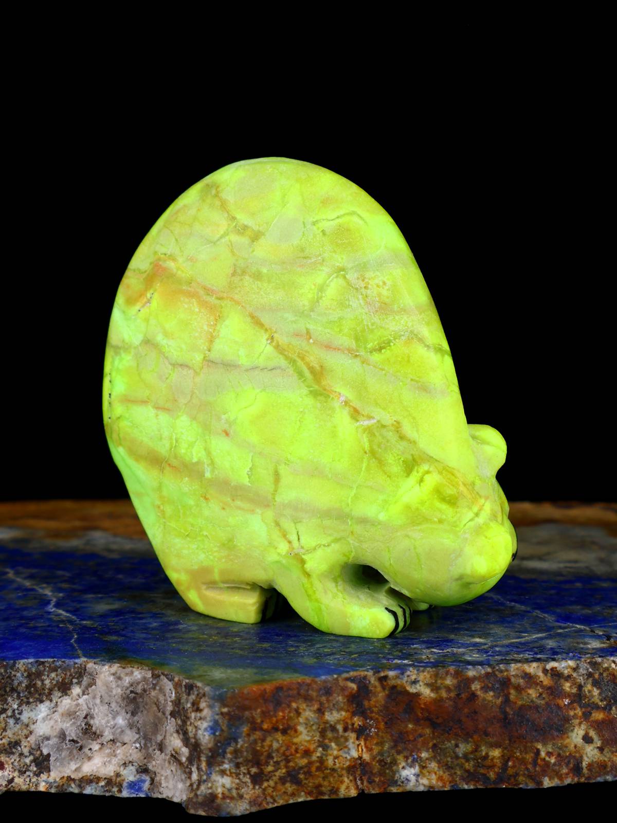 Mojave Turquoise Bear Zuni Fetish - PuebloDirect.com