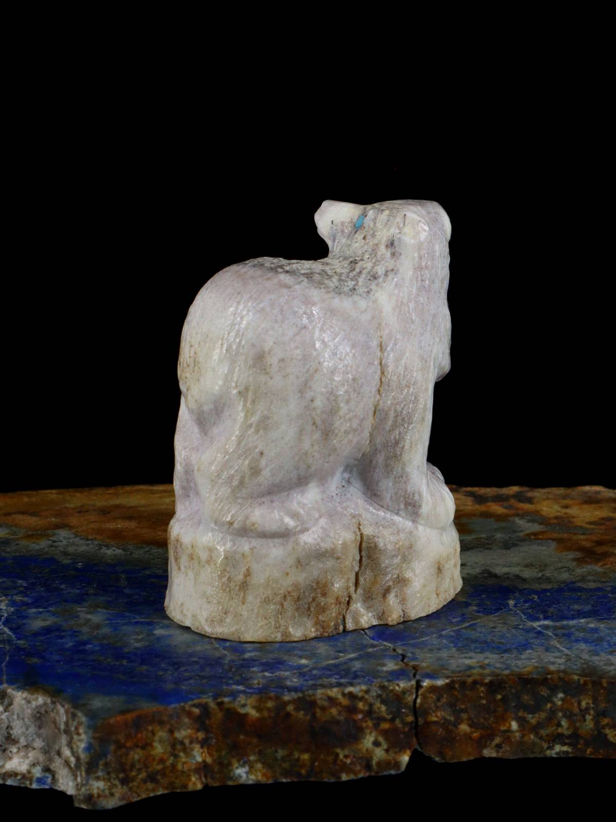 Antler Bear Zuni Fetish - PuebloDirect.com