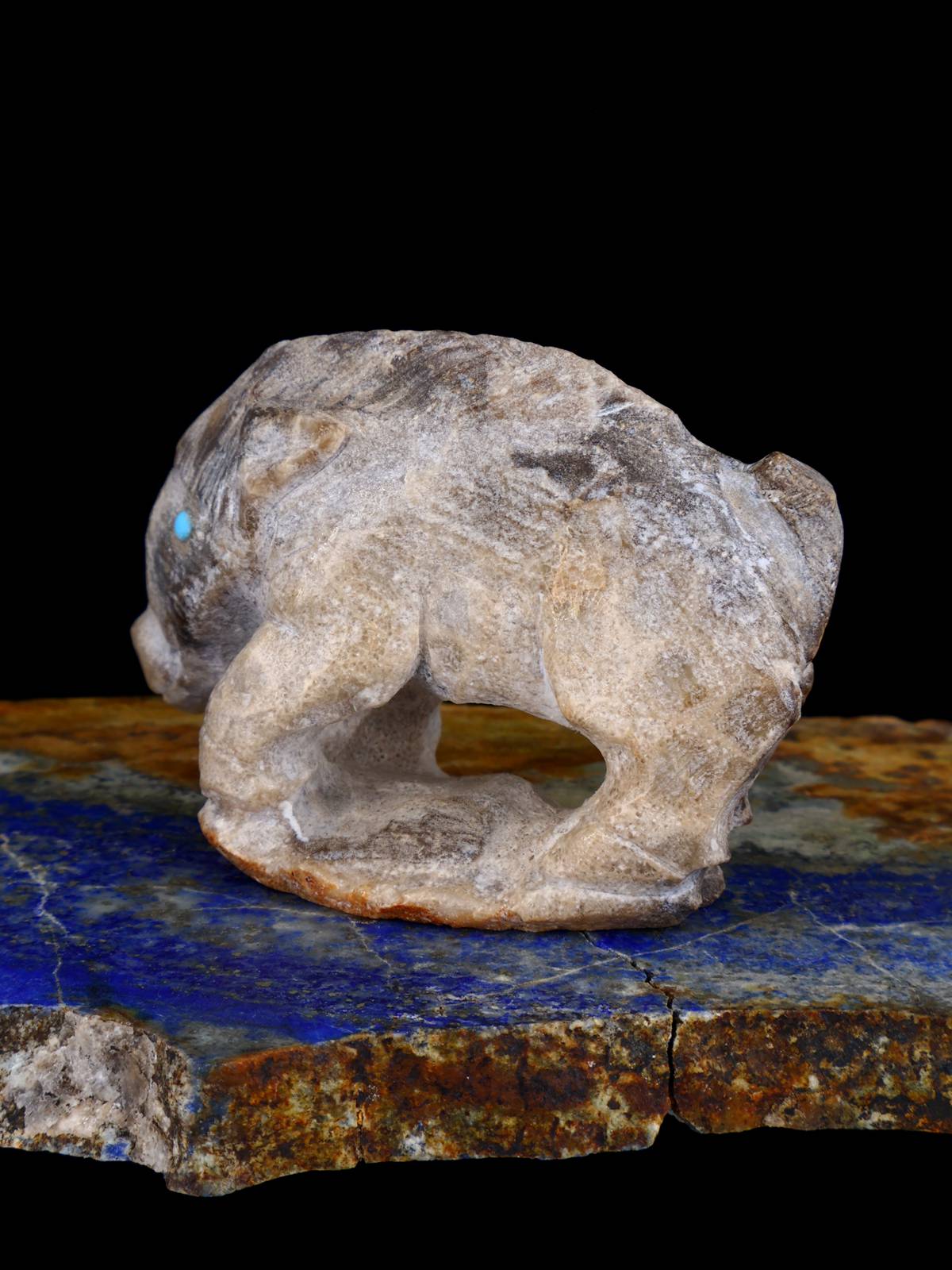 Fossil Stone Boar Zuni Fetish - PuebloDirect.com