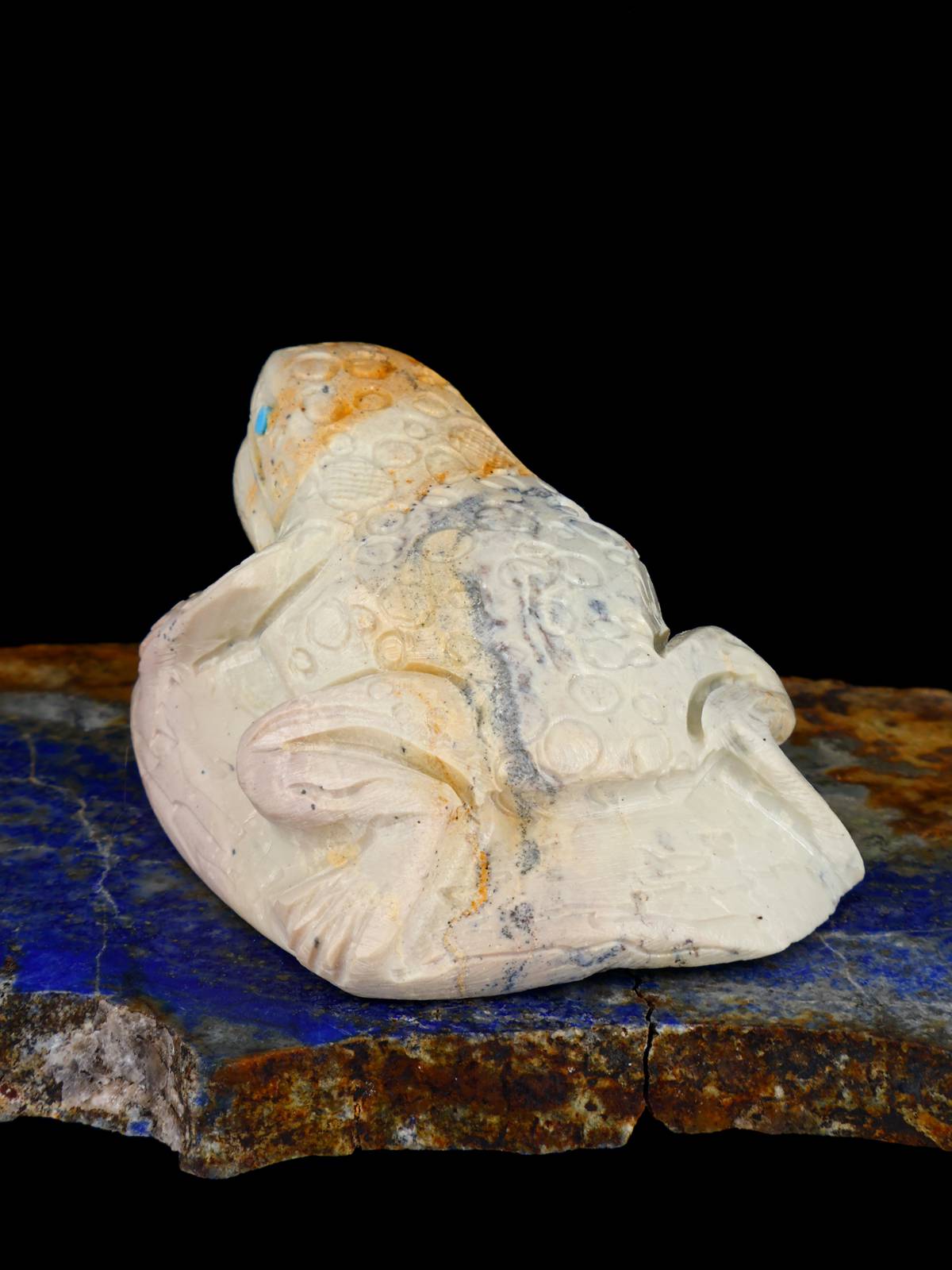 Serpentine Toad Zuni Fetish - PuebloDirect.com