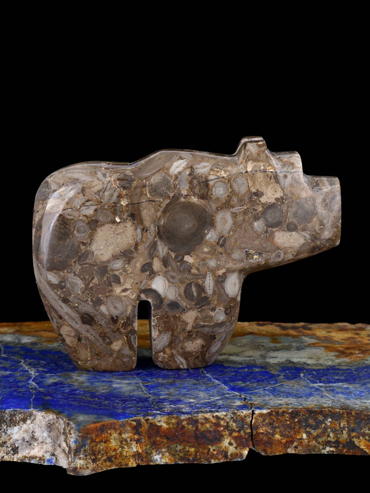 Fossil Rock Bear Zuni Fetish - PuebloDirect.com