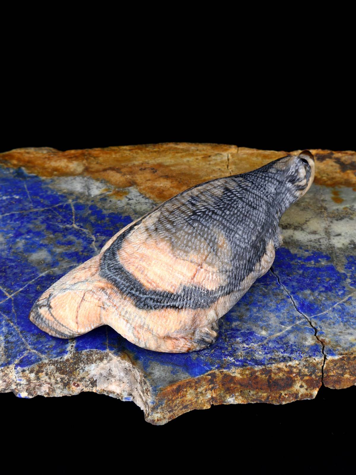 Picasso Marble Badger Zuni Fetish - PuebloDirect.com