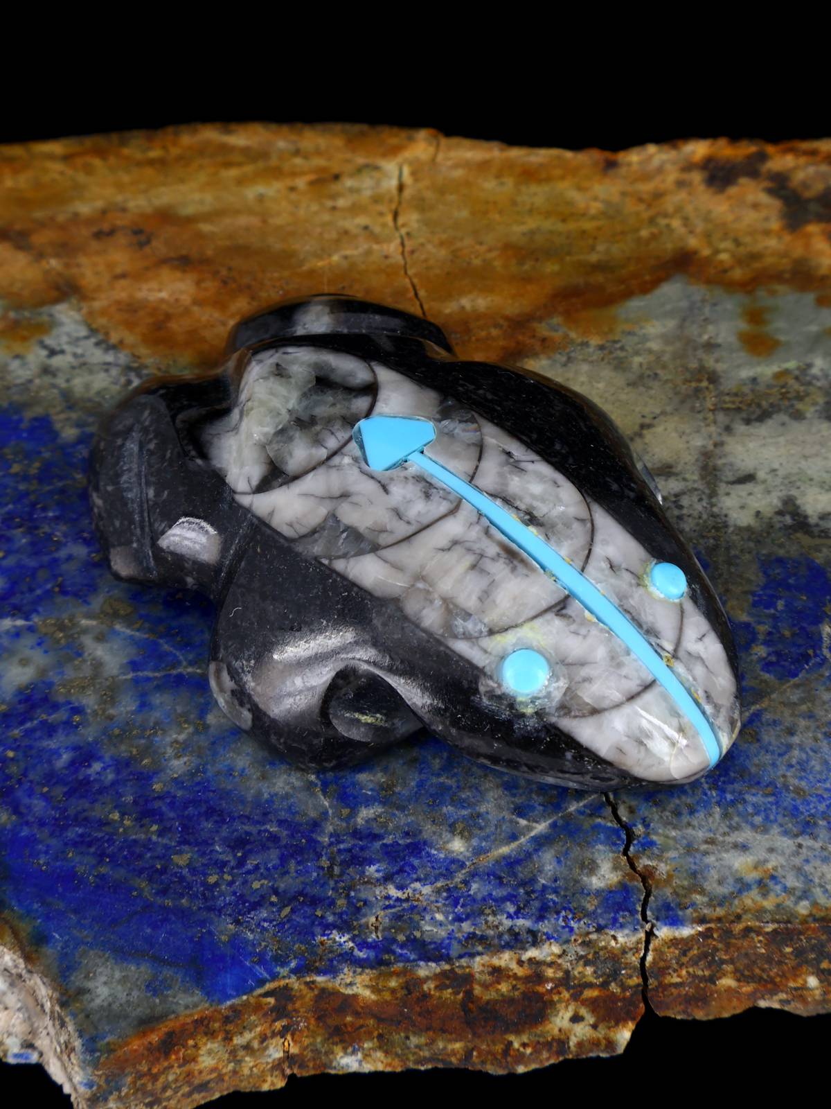 Fossilized Orthoceras Frog Zuni Fetish - PuebloDirect.com