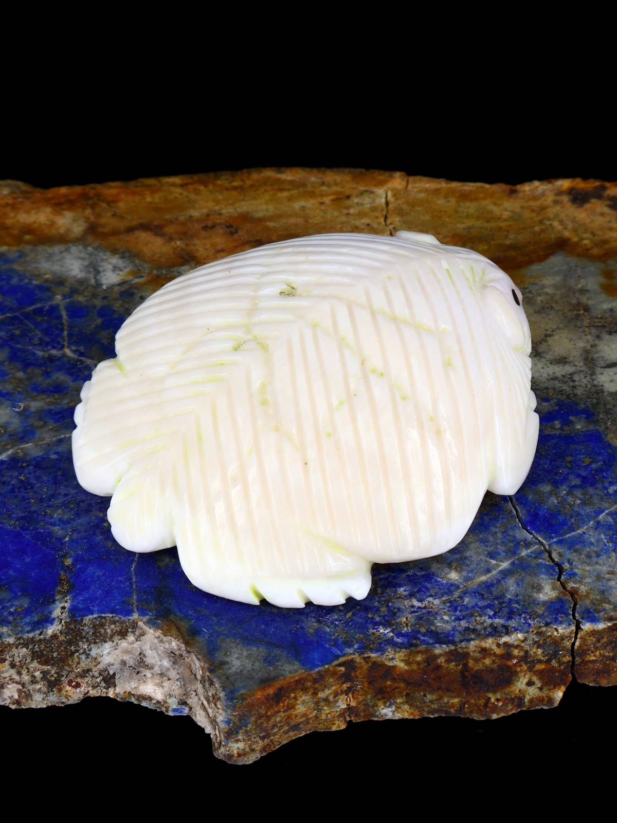 Shell Badger Navajo Carving - PuebloDirect.com
