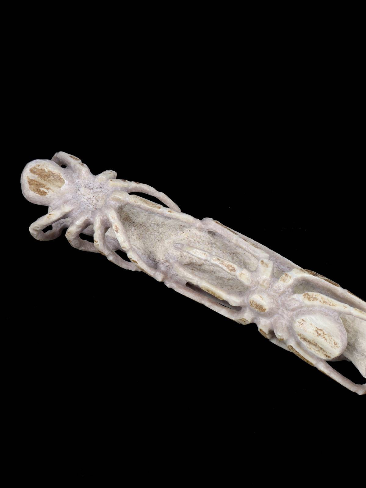 Antler Spiders Zuni Fetish - PuebloDirect.com