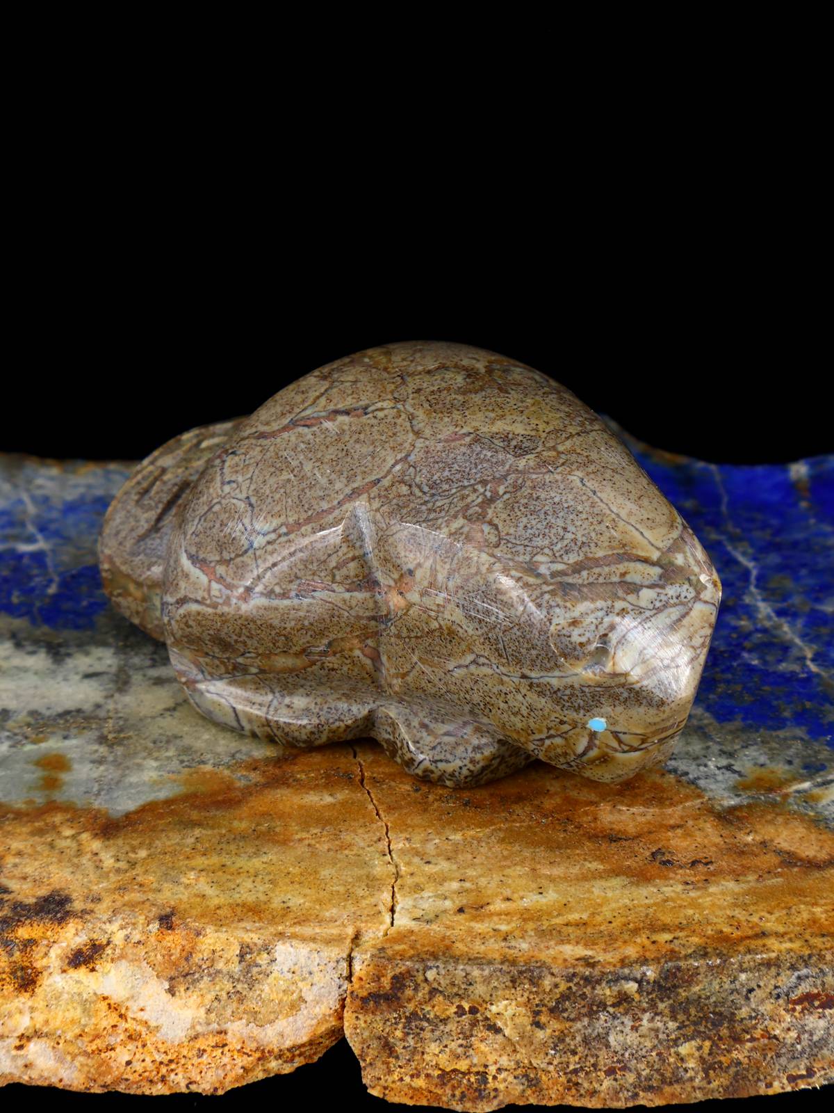 Picasso Marble Beaver Zuni Fetish - PuebloDirect.com