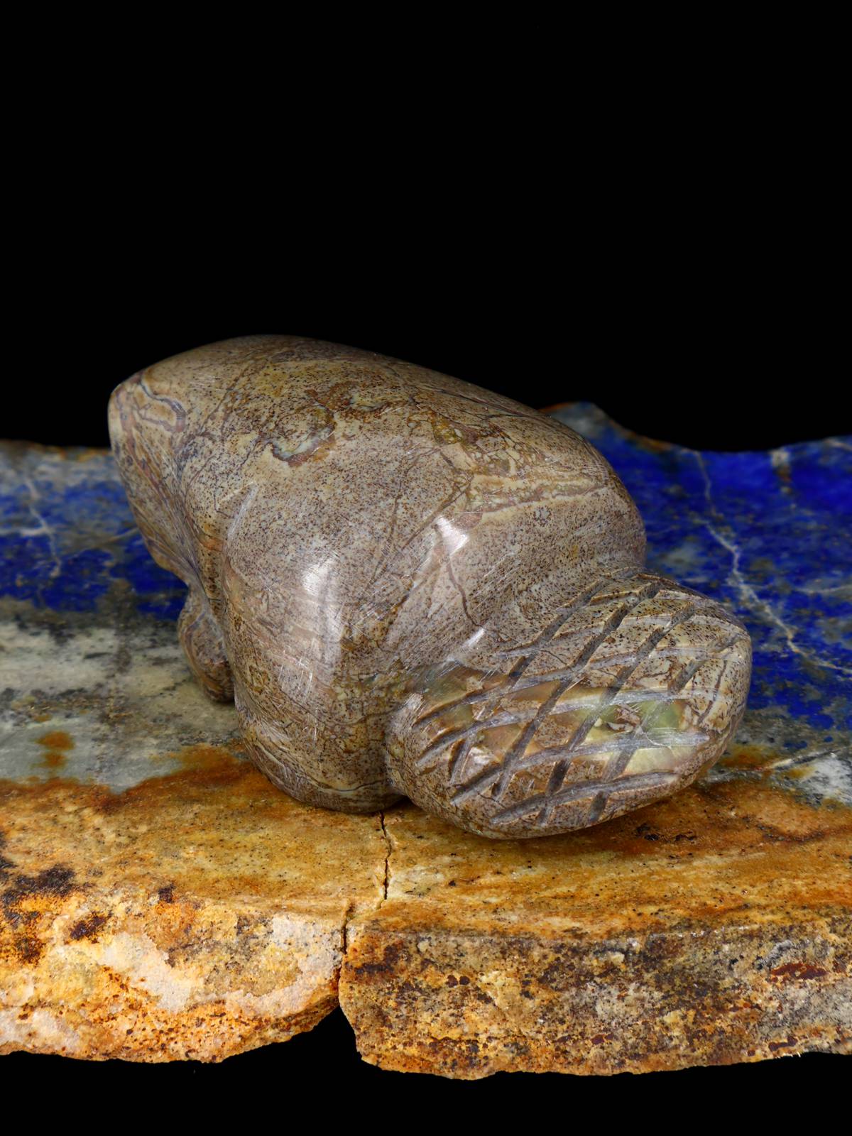 Picasso Marble Beaver Zuni Fetish - PuebloDirect.com