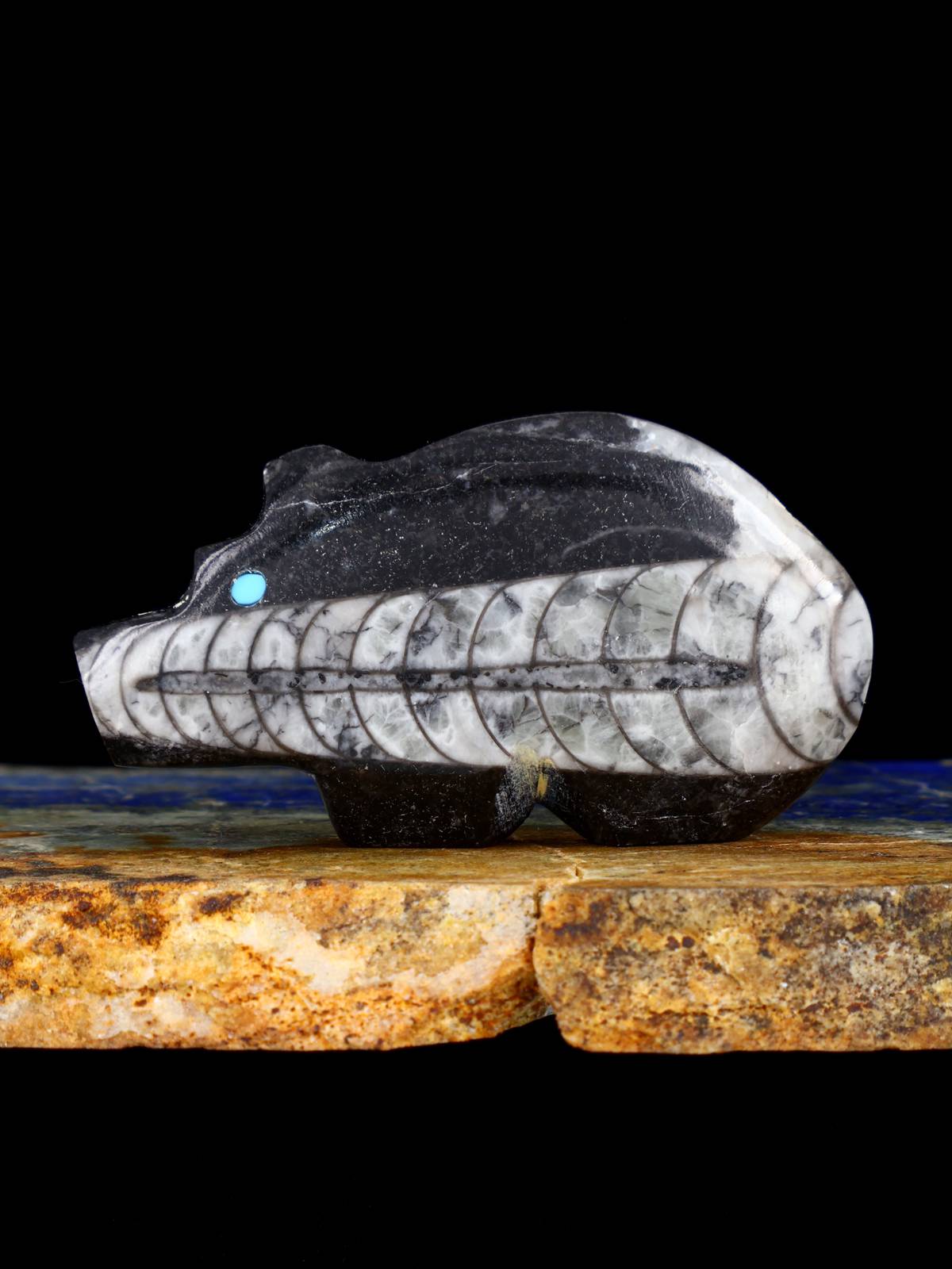 Fossilized Orthoceras Bear Zuni Fetish