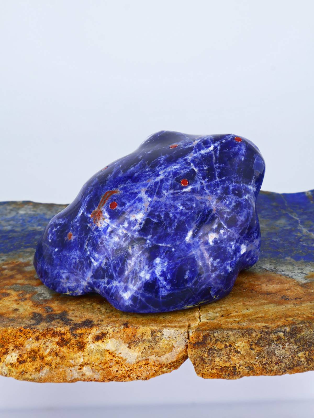 Sodalite Frog Zuni Fetish