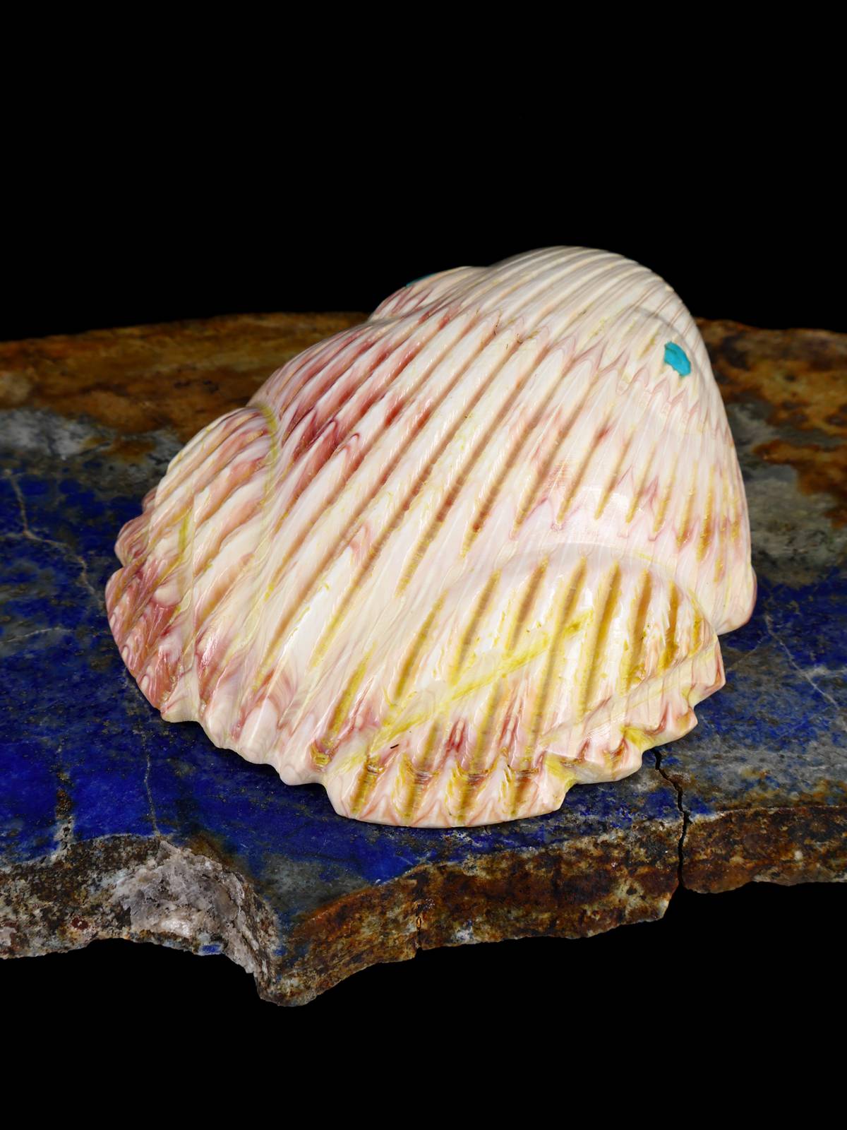 Shell Frog Navajo Carving - PuebloDirect.com