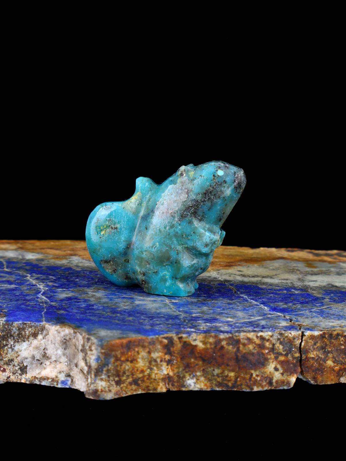 Turquoise Squirrel Zuni Fetish - PuebloDirect.com