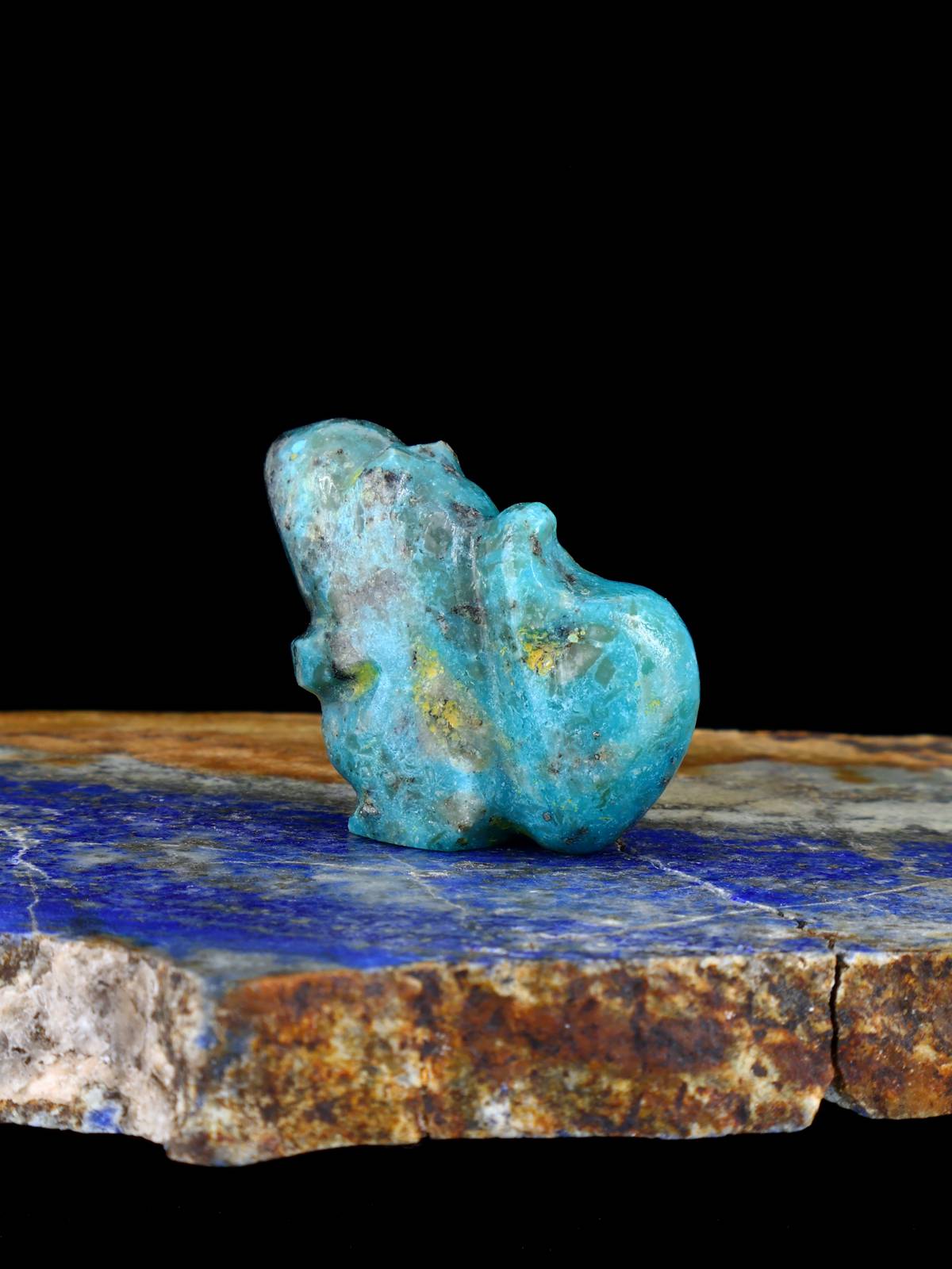 Turquoise Squirrel Zuni Fetish - PuebloDirect.com