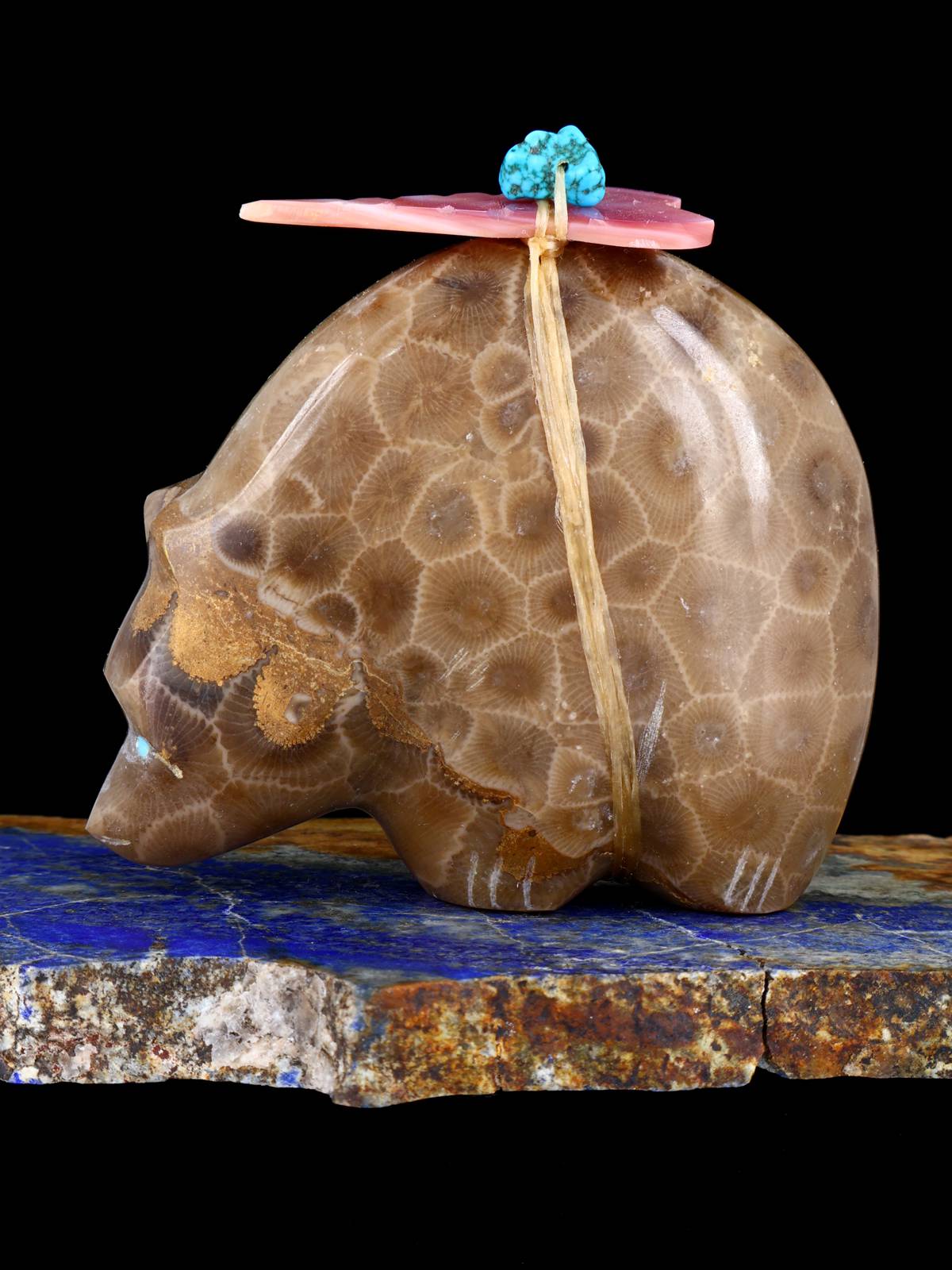 Fossil Stone Bear Zuni Fetish - PuebloDirect.com