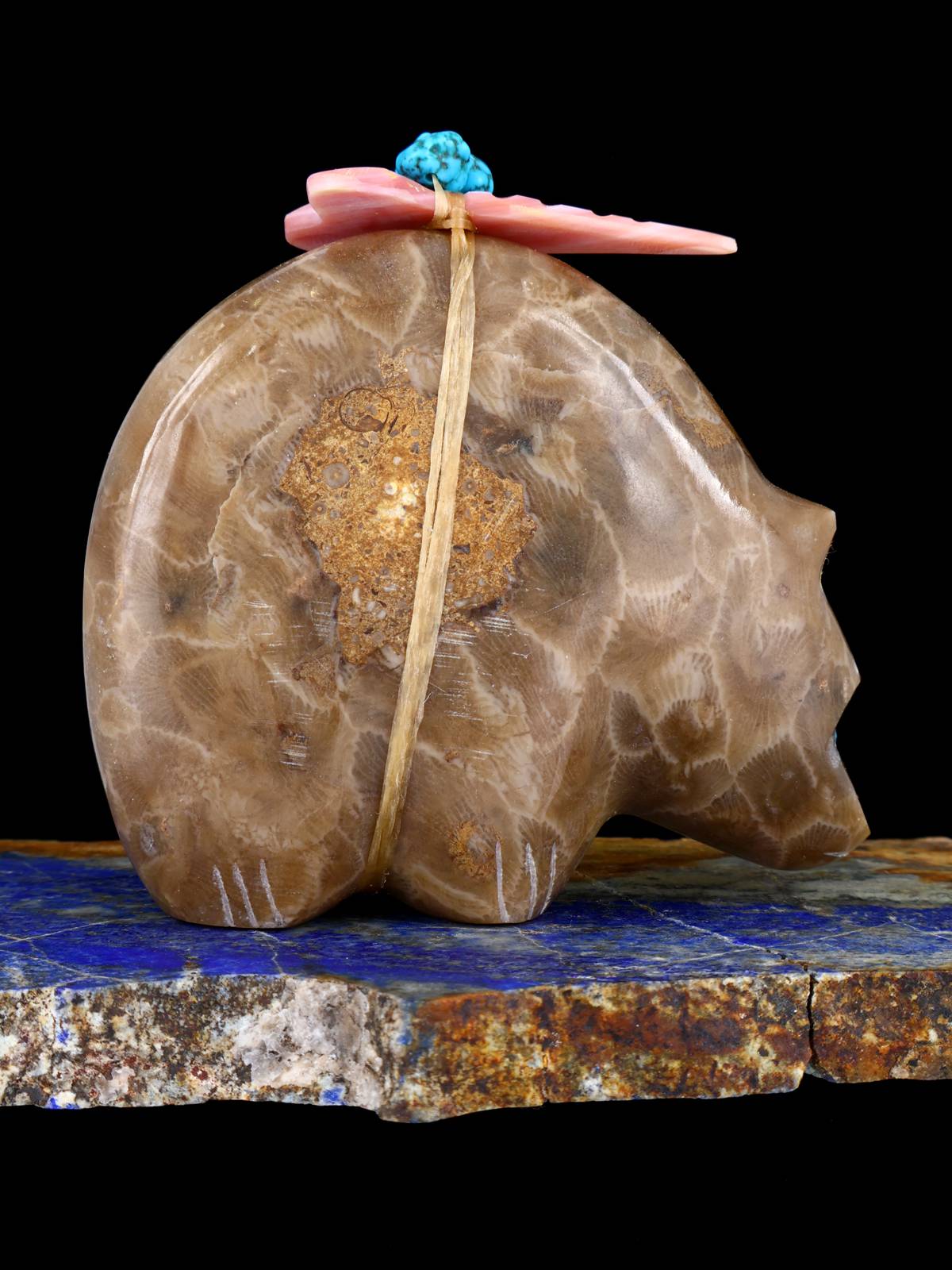 Fossil Stone Bear Zuni Fetish - PuebloDirect.com