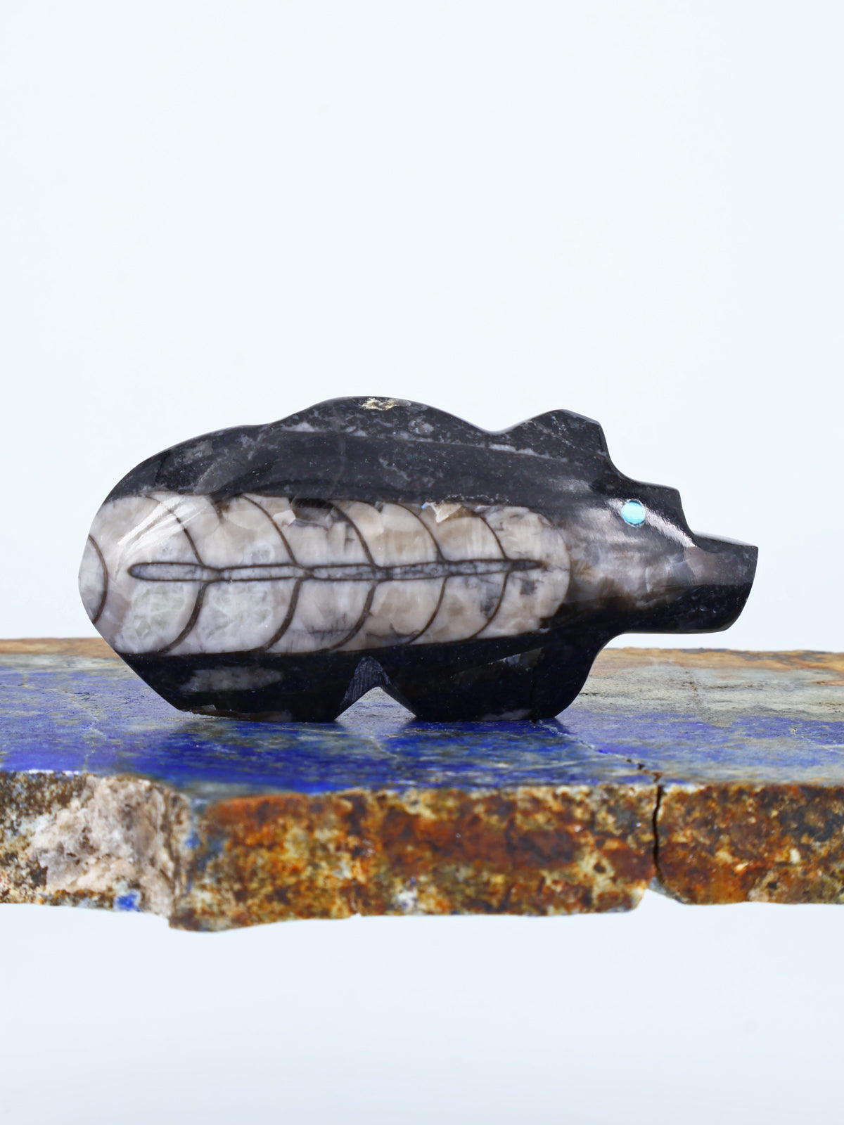 Fossilized Orthoceras Bear Zuni Fetish