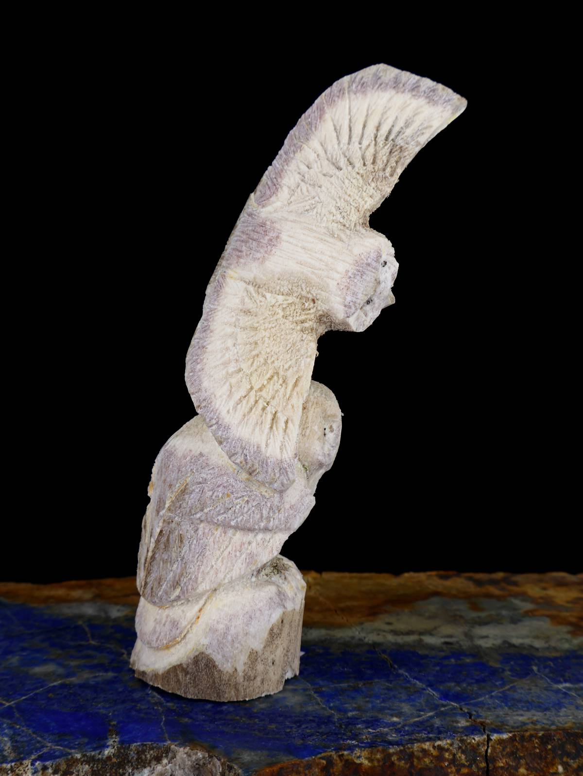 Antler Owl Family Zuni Fetish - PuebloDirect.com