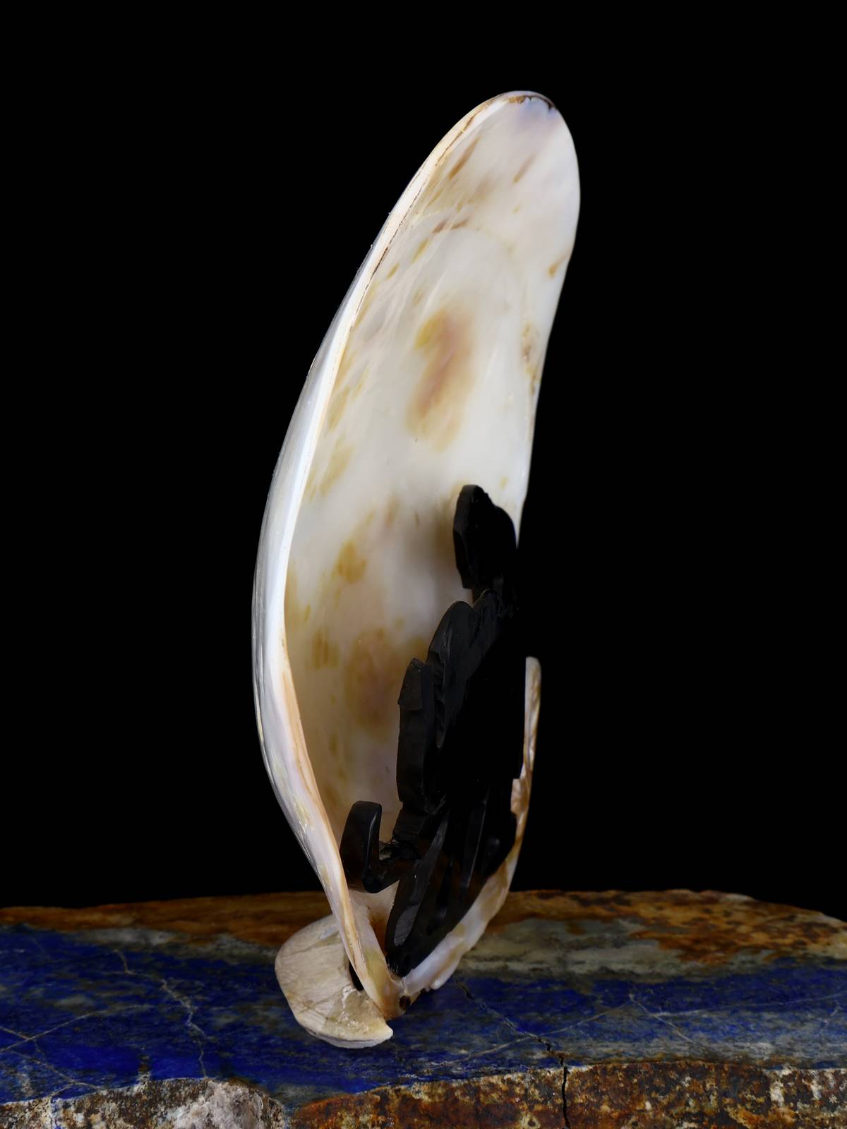 African Safari Shell Zuni Fetish - PuebloDirect.com