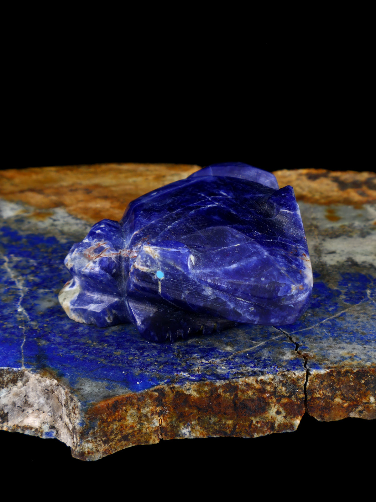 Sodalite Frog Zuni Fetish