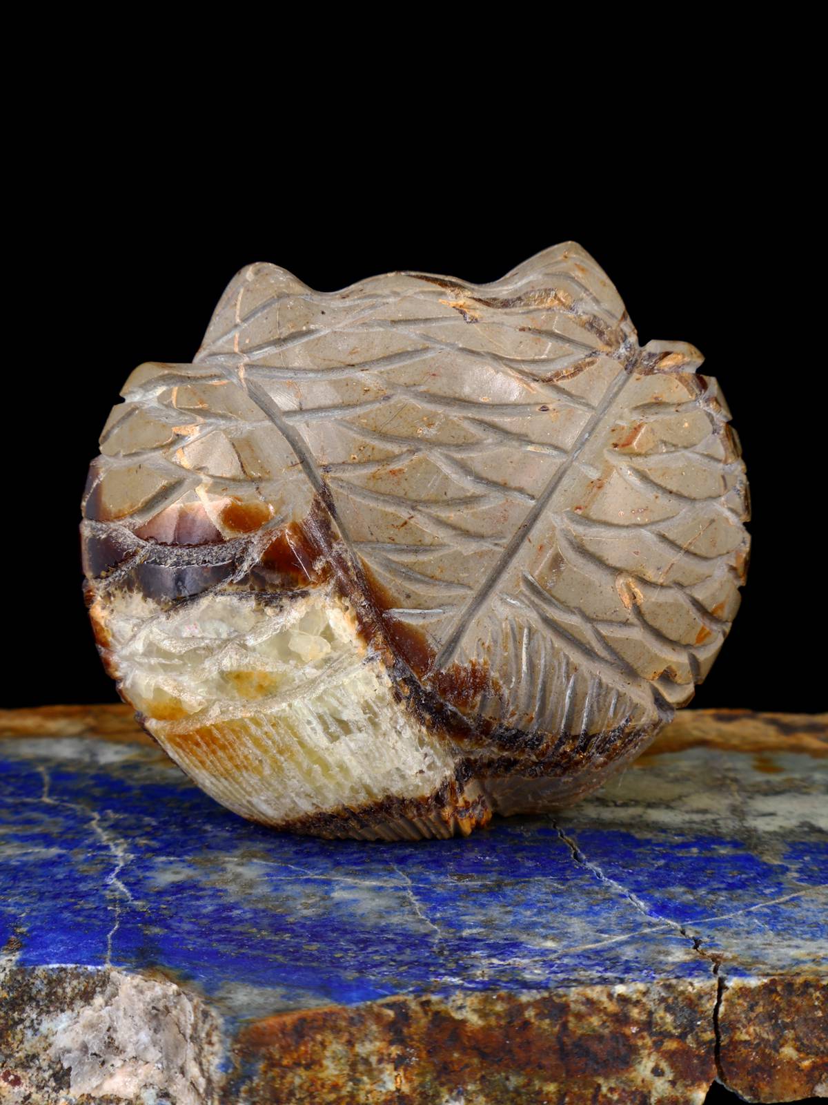 Septarian Owl Zuni Fetish