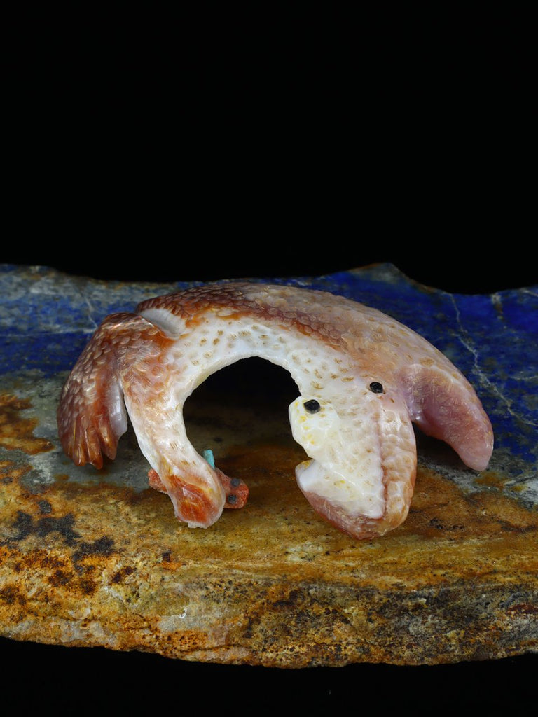 Pink Shell Frog Zuni Fetish - PuebloDirect.com