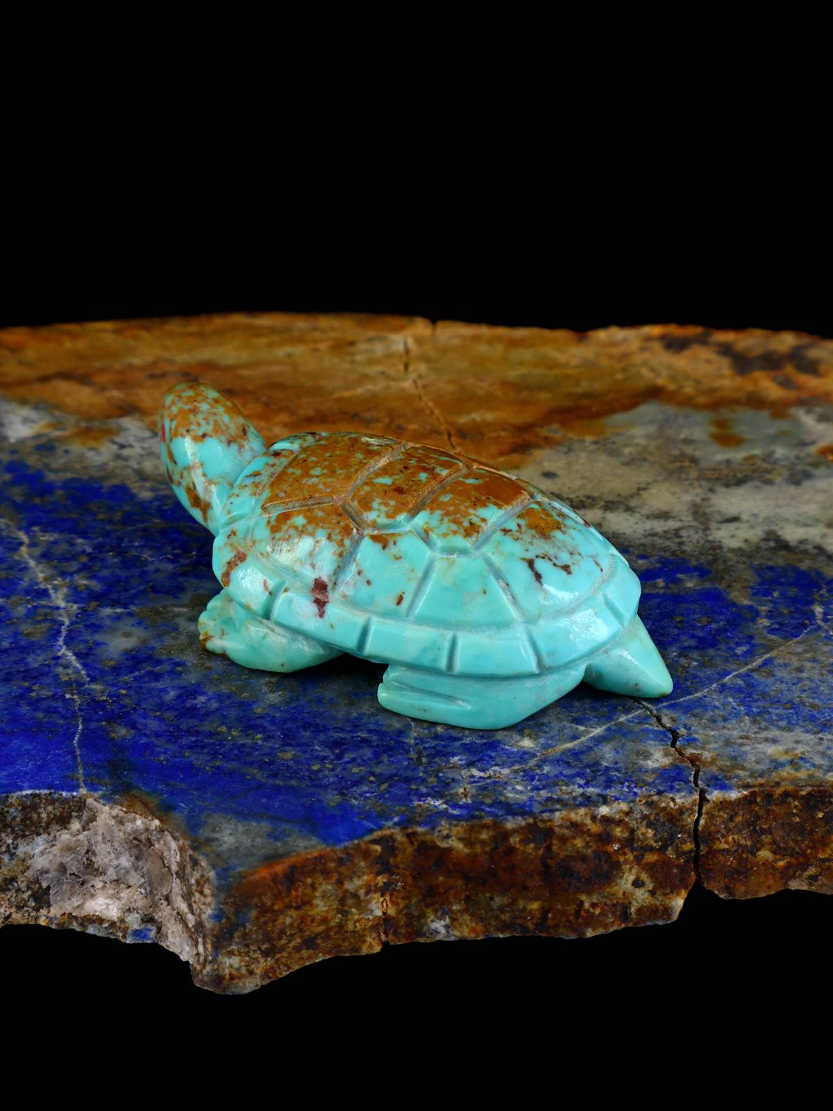 Fétiche Tortue Turquoise Zuni