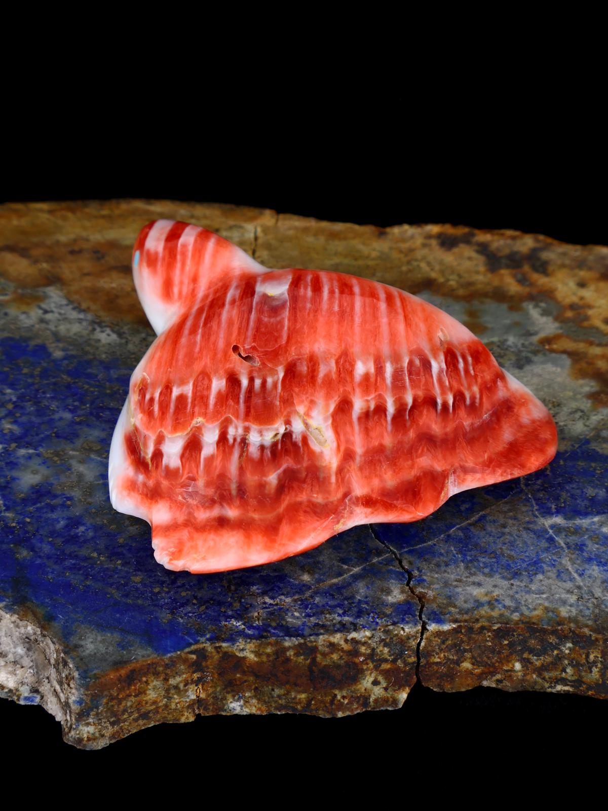 Spiny Oyster Turtle Zuni Fetish