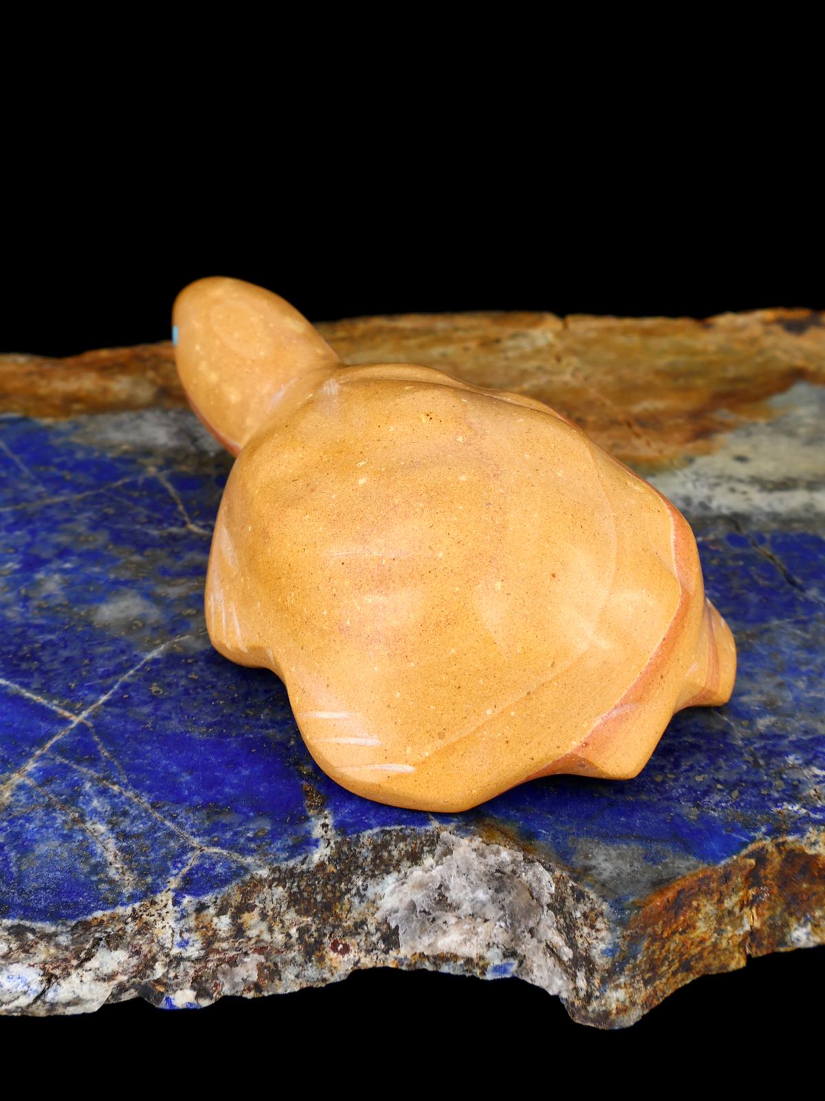 Tortue de marbre Zuni Fétiche