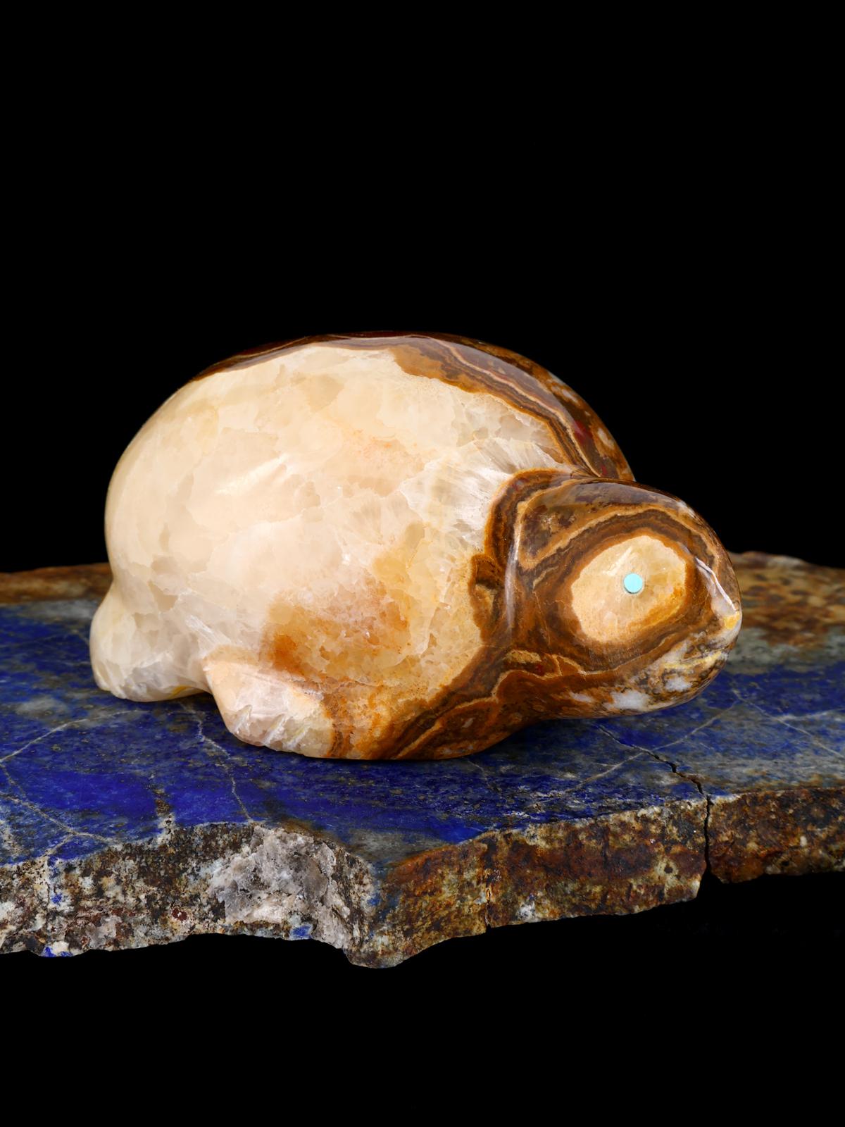 Onyx Turtle Zuni Fetish