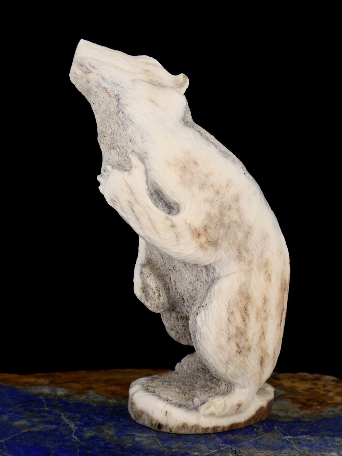 Antler Bear Zuni Fetish - PuebloDirect.com