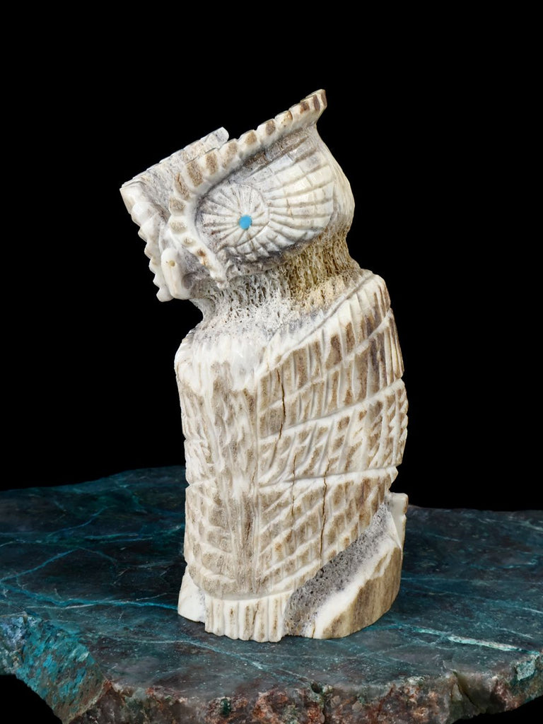 Antler Owl Zuni Fetish - PuebloDirect.com