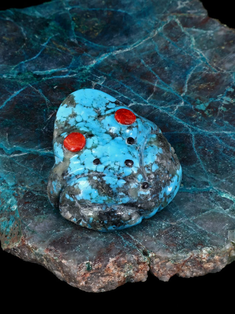 Turquoise Frog Zuni Fetish - PuebloDirect.com