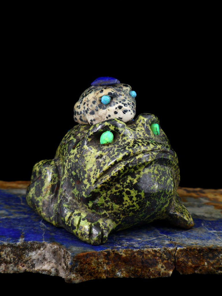 Serpentine Bullfrog Zuni Fetish - PuebloDirect.com